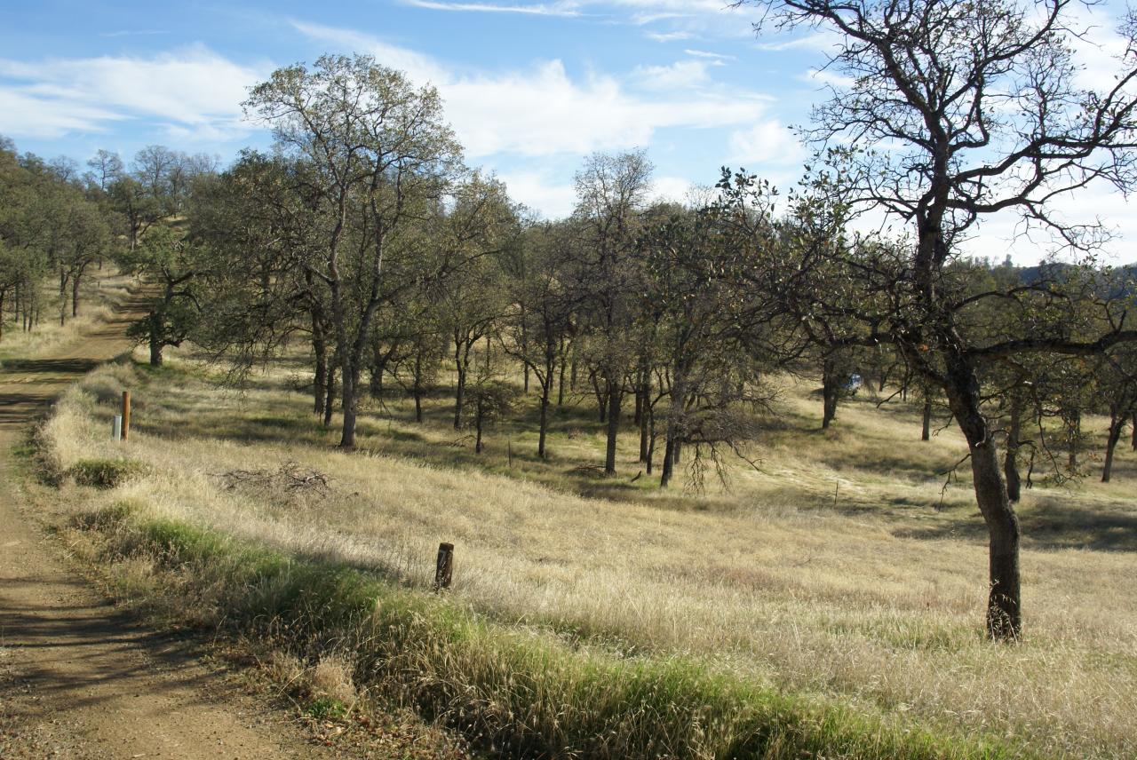Lot 74 Straight Arrow Road Igo, CA 96047 - Photo 8 of 11 a view of outdoor space with trees