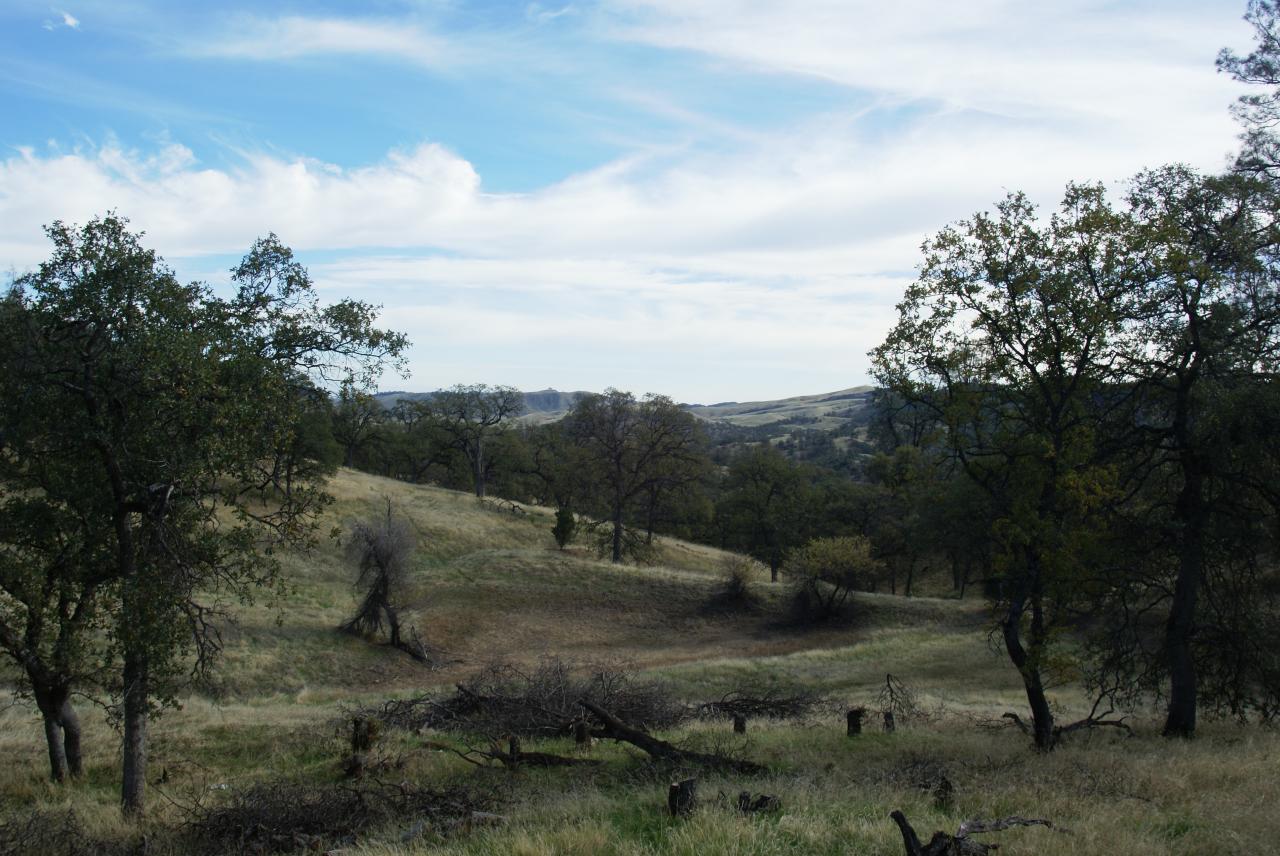 Lot 74 Straight Arrow Road Igo, CA 96047 - Photo 10 of 11 a view of a dry yard with trees in the background