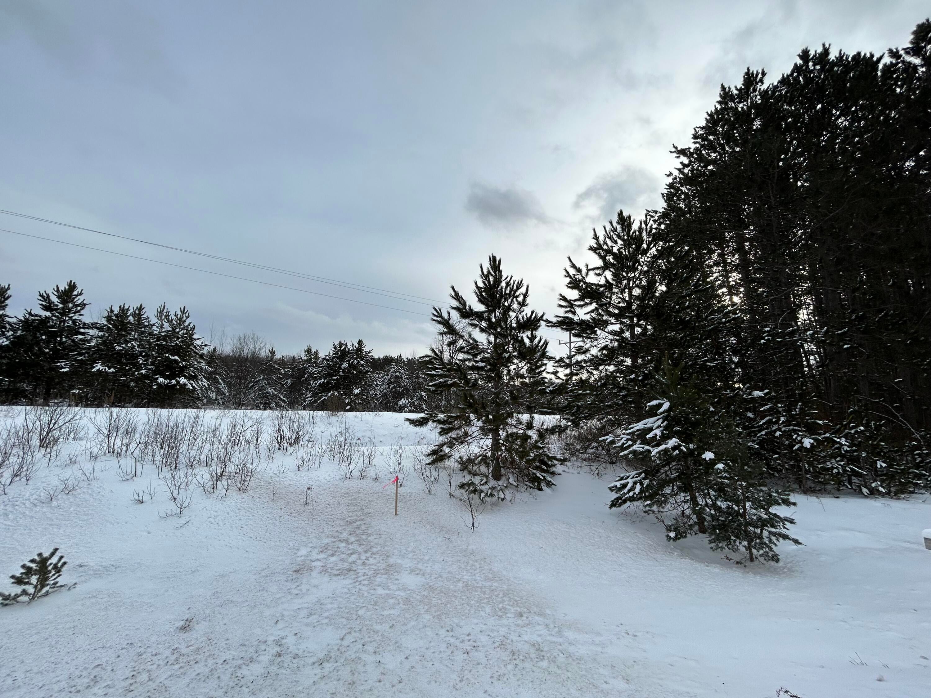 Vl Hallock Road Gaylord, MI 49735 - Photo 9 of 11 Gallery Image 9