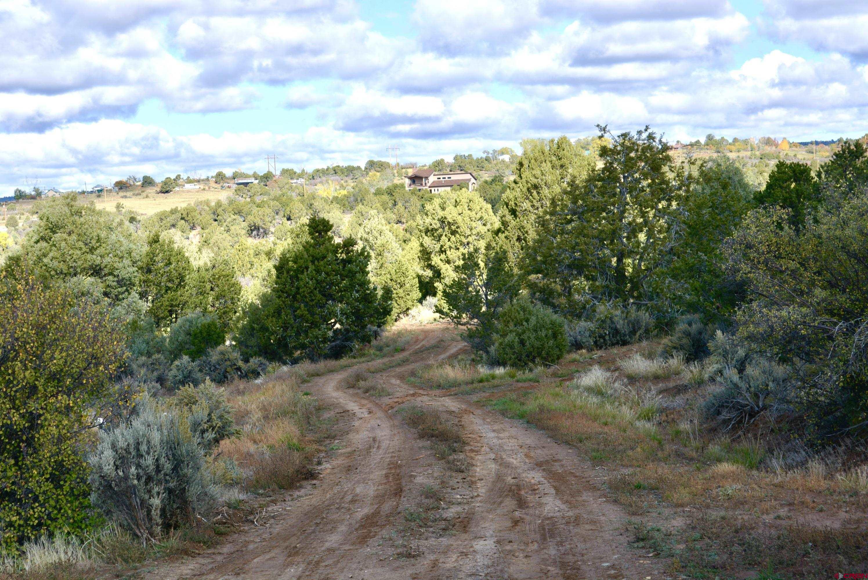 14421 32.1 Road Mancos, CO 81328 - Photo 1 of 30 a view of a forest with trees in the background