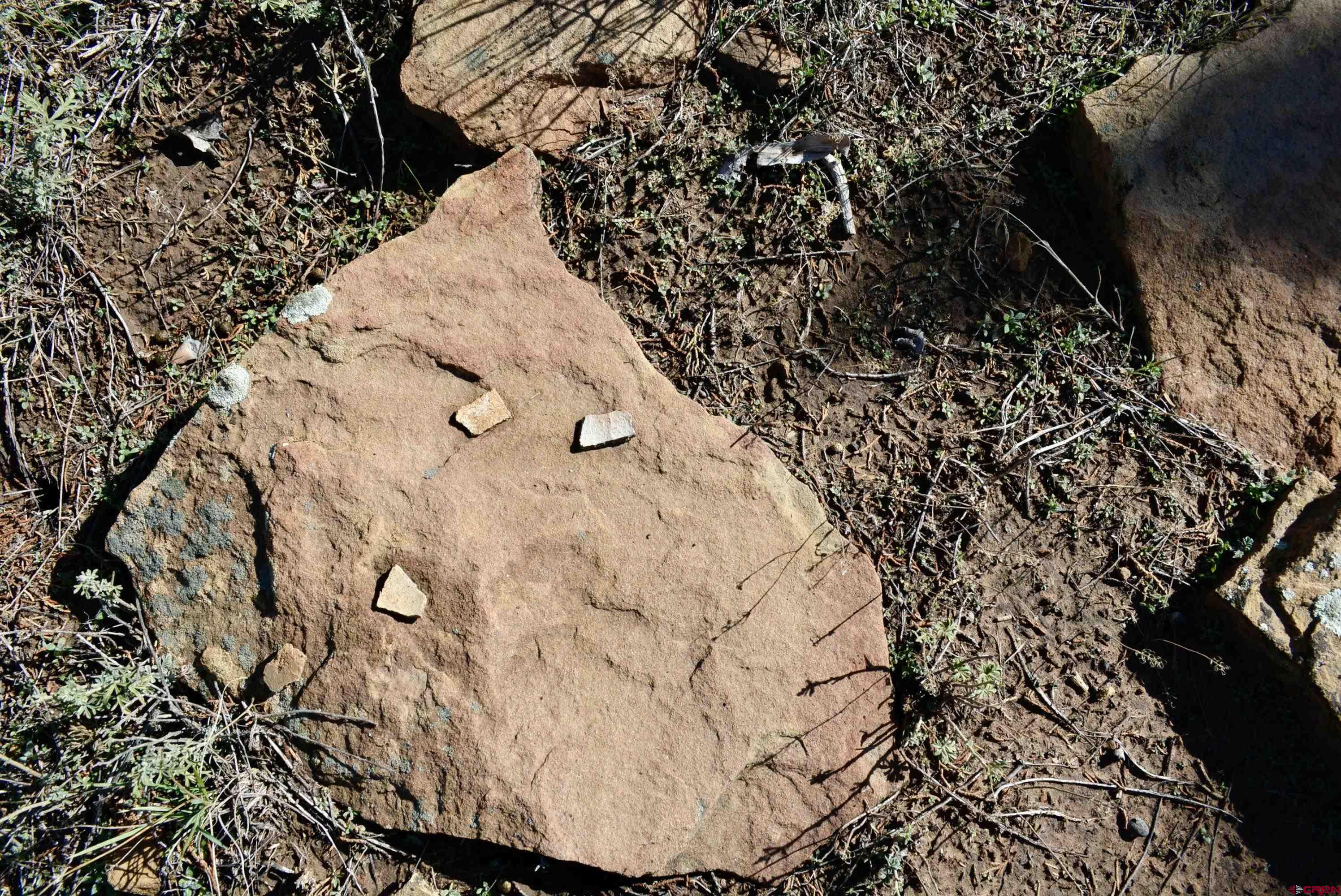 14421 32.1 Road Mancos, CO 81328 - Photo 13 of 30 a view of tall trees