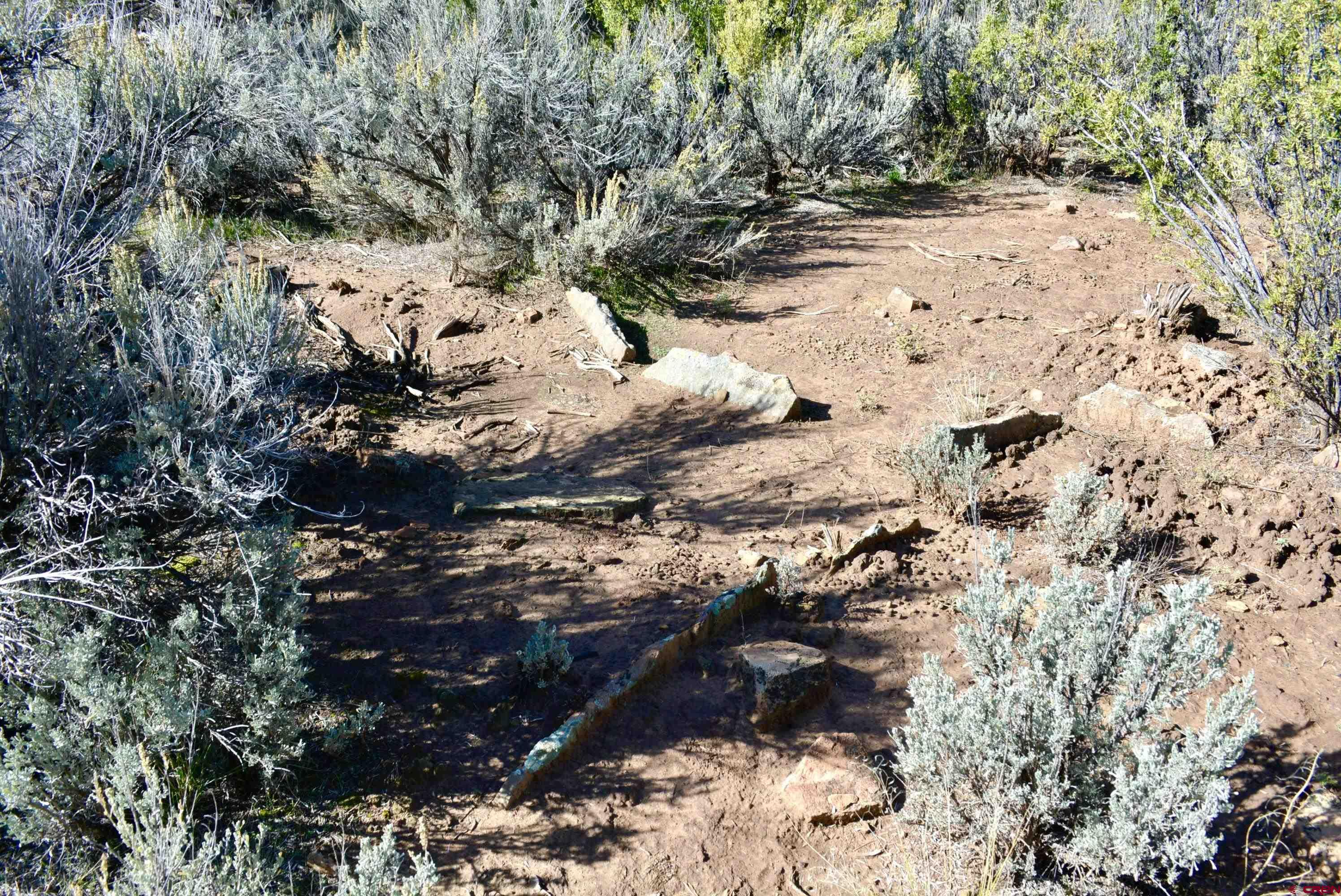 14421 32.1 Road Mancos, CO 81328 - Photo 15 of 30 a view of a yard covered with snow