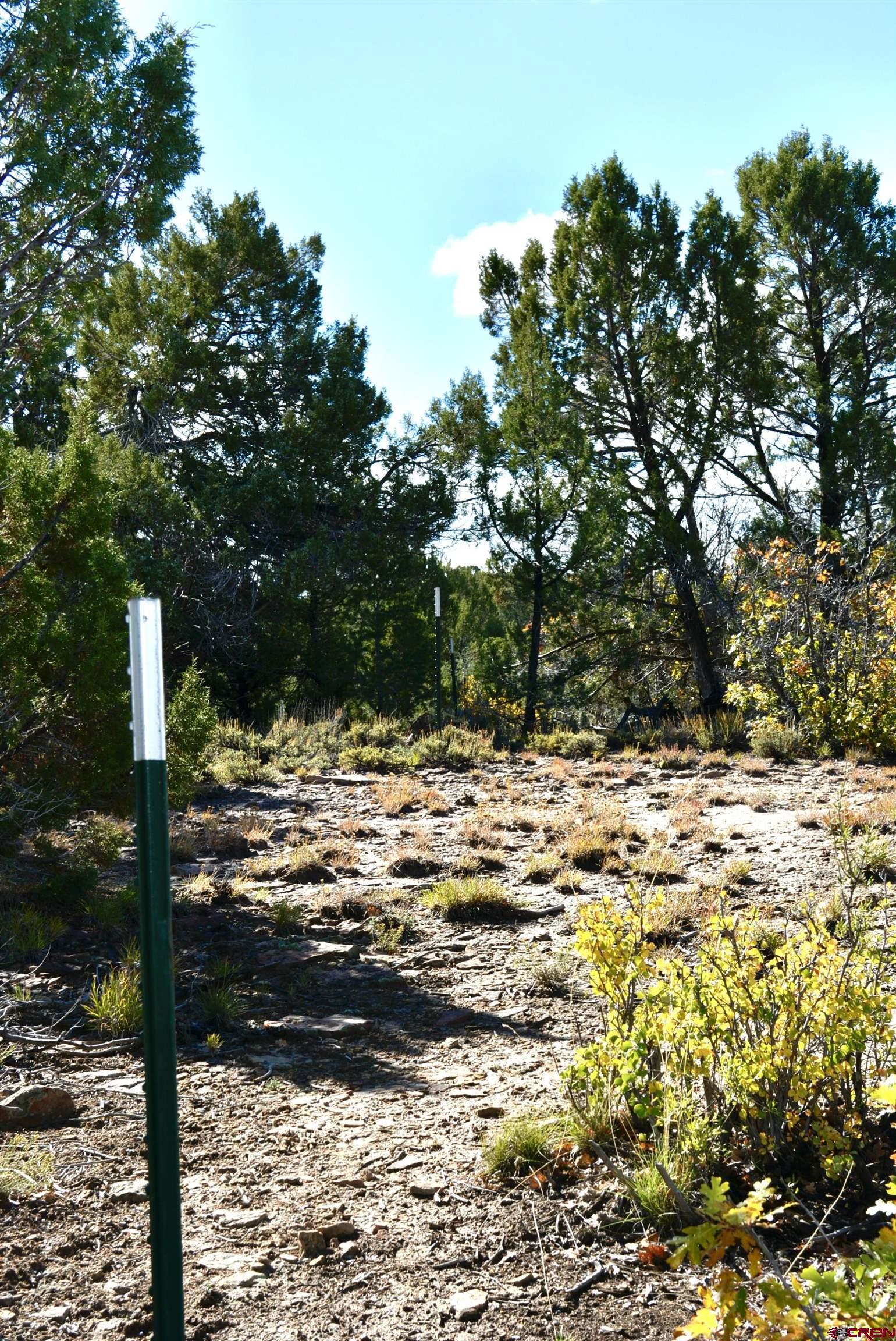 14421 32.1 Road Mancos, CO 81328 - Photo 16 of 30 a view of ocean view