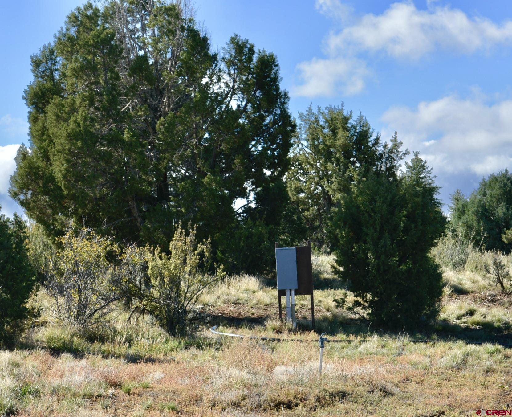 14421 32.1 Road Mancos, CO 81328 - Photo 2 of 30 a view of a yard