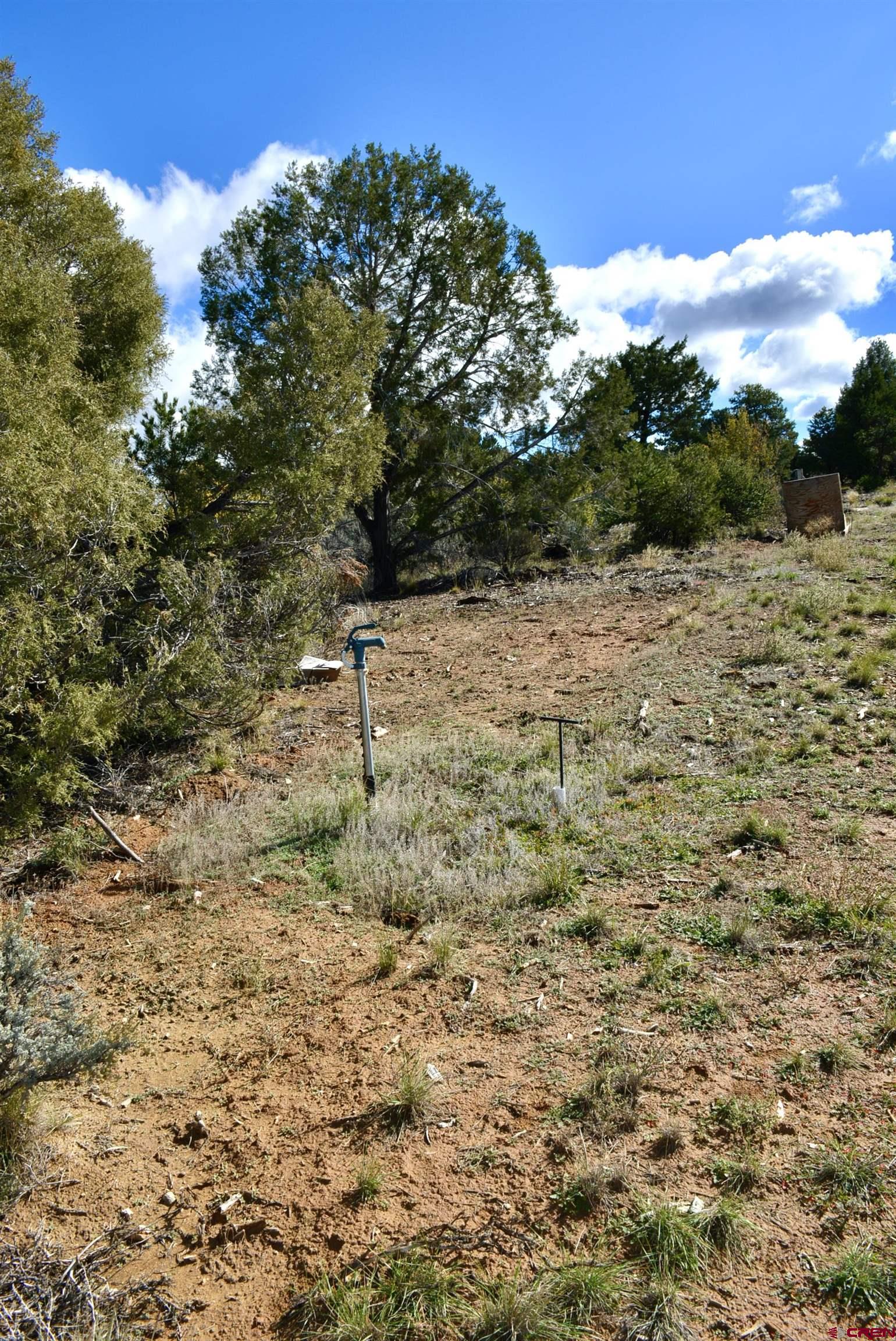 14421 32.1 Road Mancos, CO 81328 - Photo 22 of 30 a backyard of a house with lots of green space