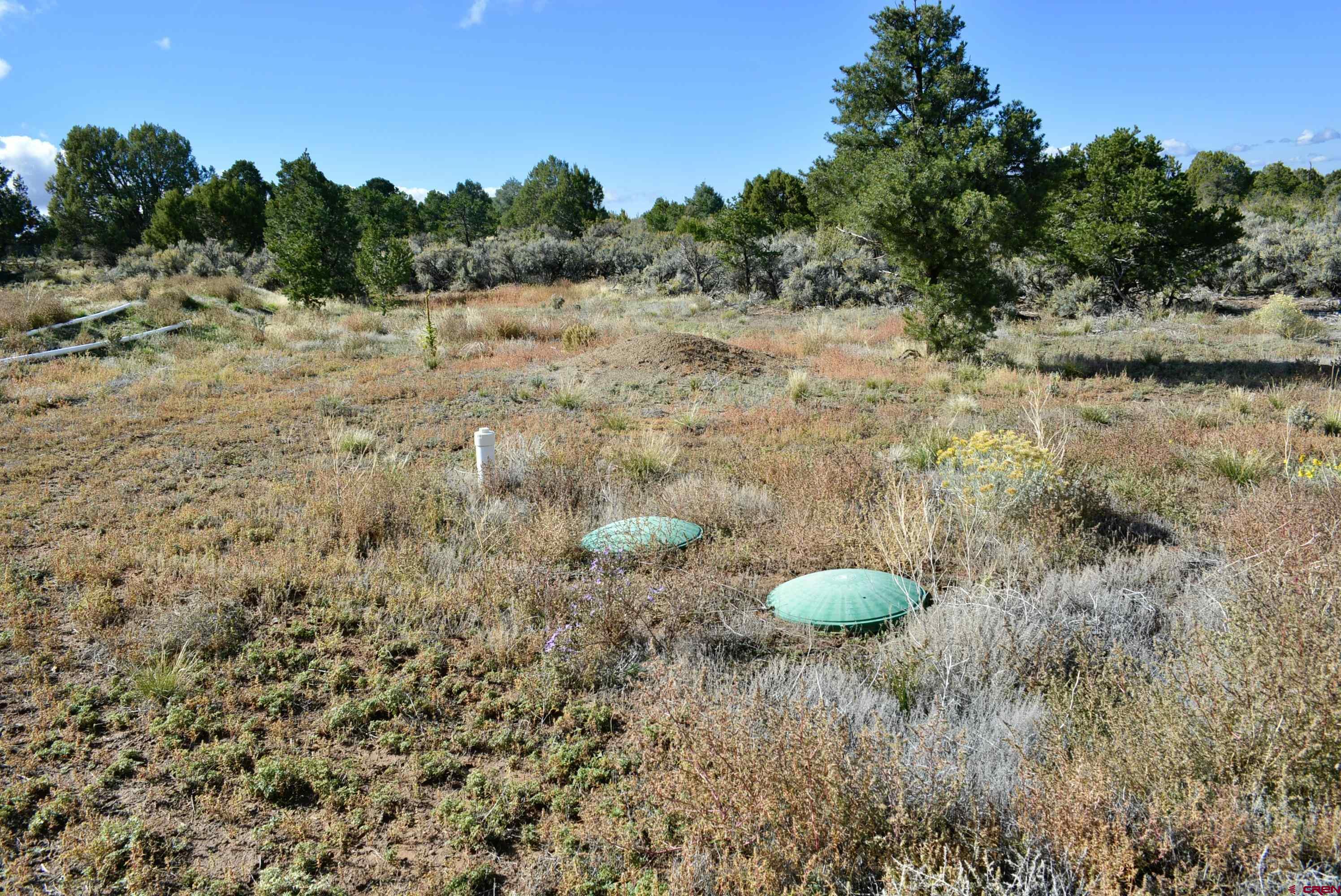 14421 32.1 Road Mancos, CO 81328 - Photo 24 of 30 a view of a backyard of the house