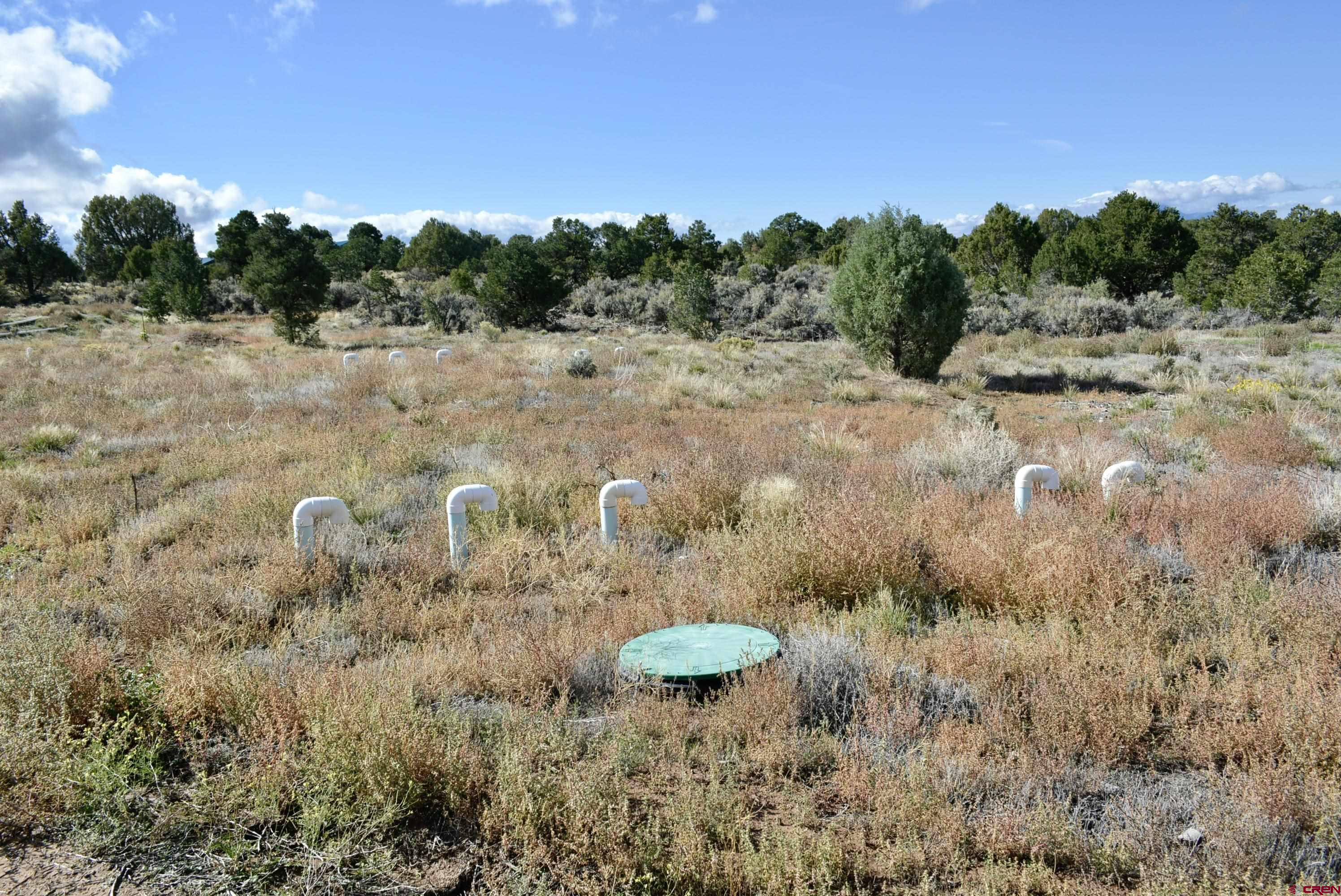 14421 32.1 Road Mancos, CO 81328 - Photo 25 of 30 a view of a bunch of trees and bushes