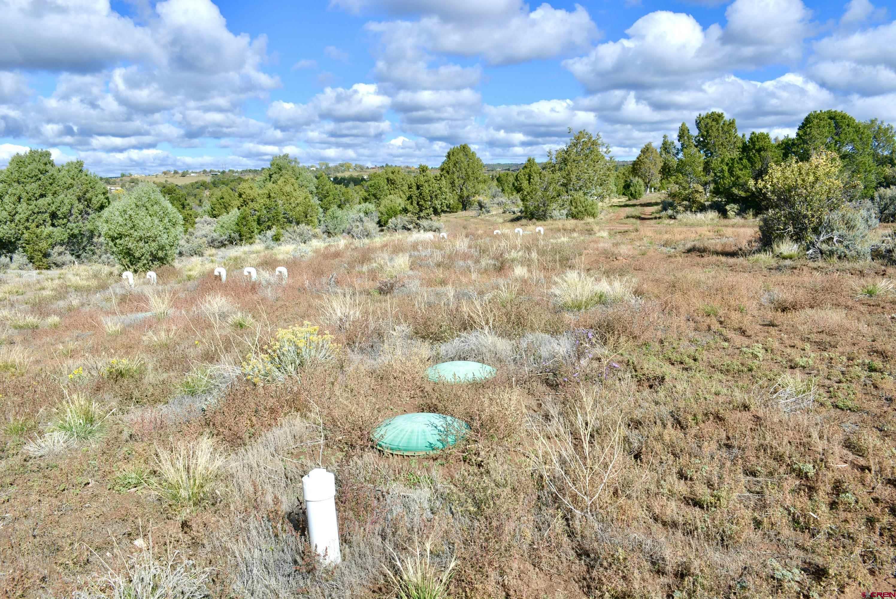14421 32.1 Road Mancos, CO 81328 - Photo 26 of 30 a close up of a vase of flowers
