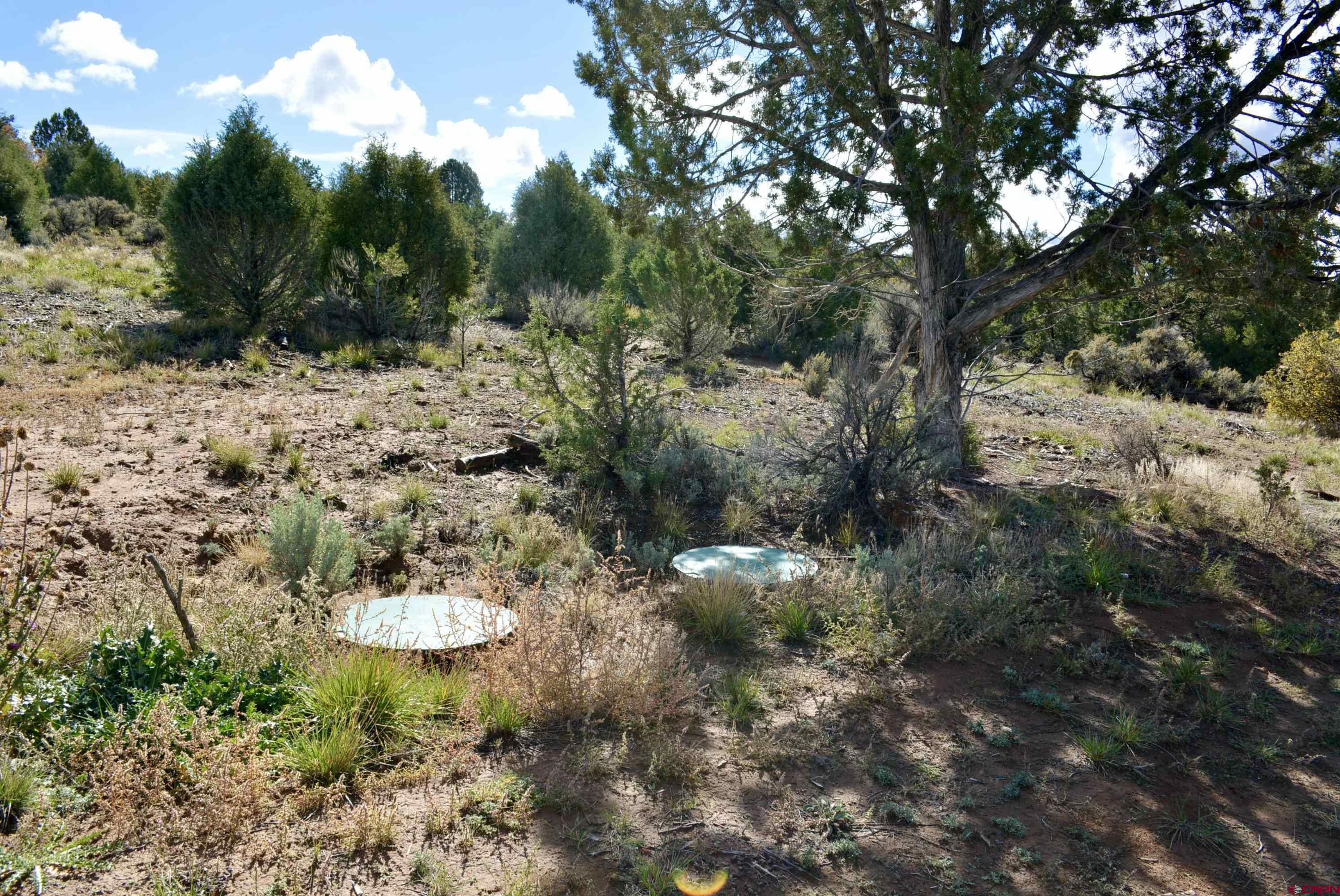 14421 32.1 Road Mancos, CO 81328 - Photo 27 of 30 a view of a tree with a yard