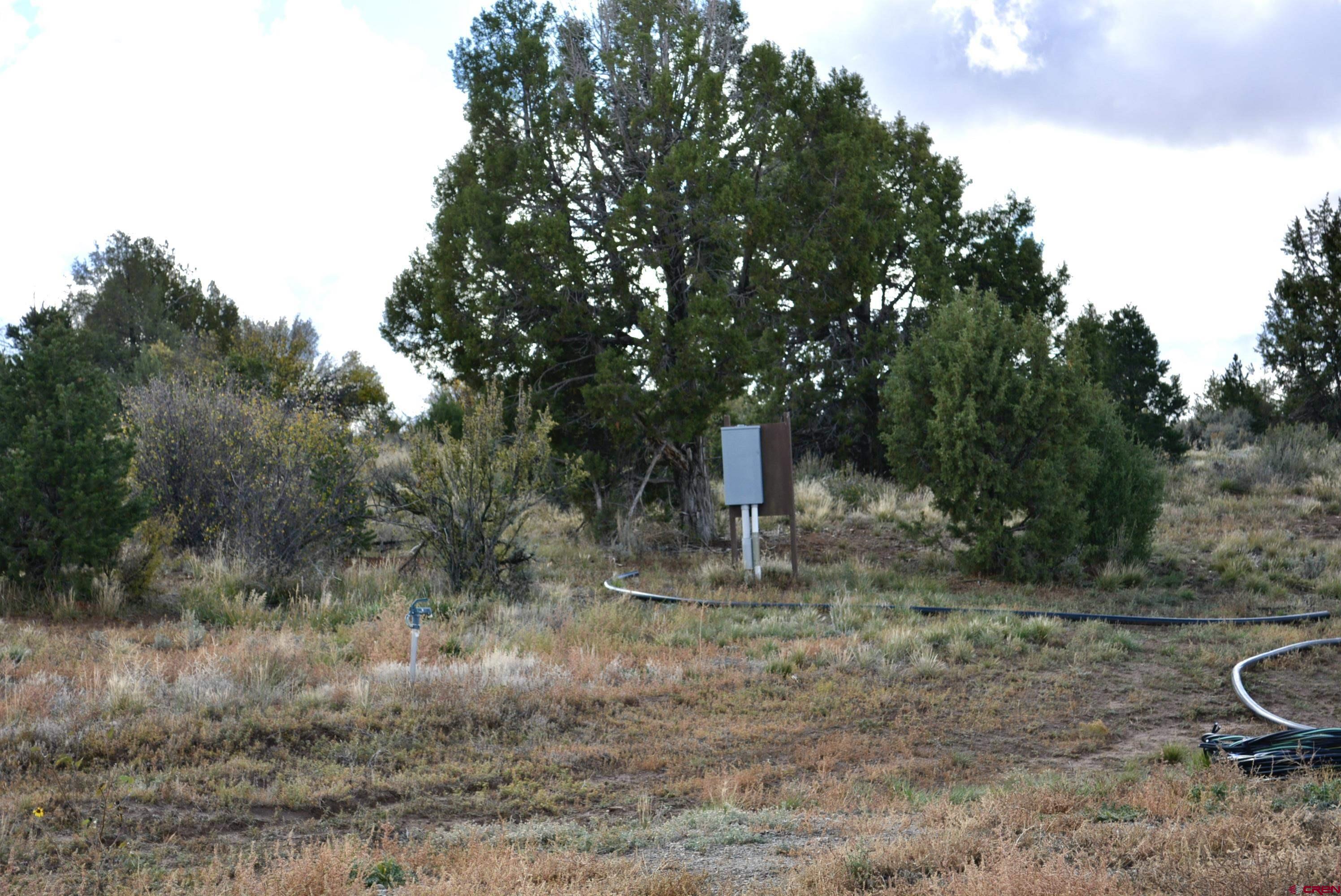 14421 32.1 Road Mancos, CO 81328 - Photo 3 of 30 a view of a outdoor space