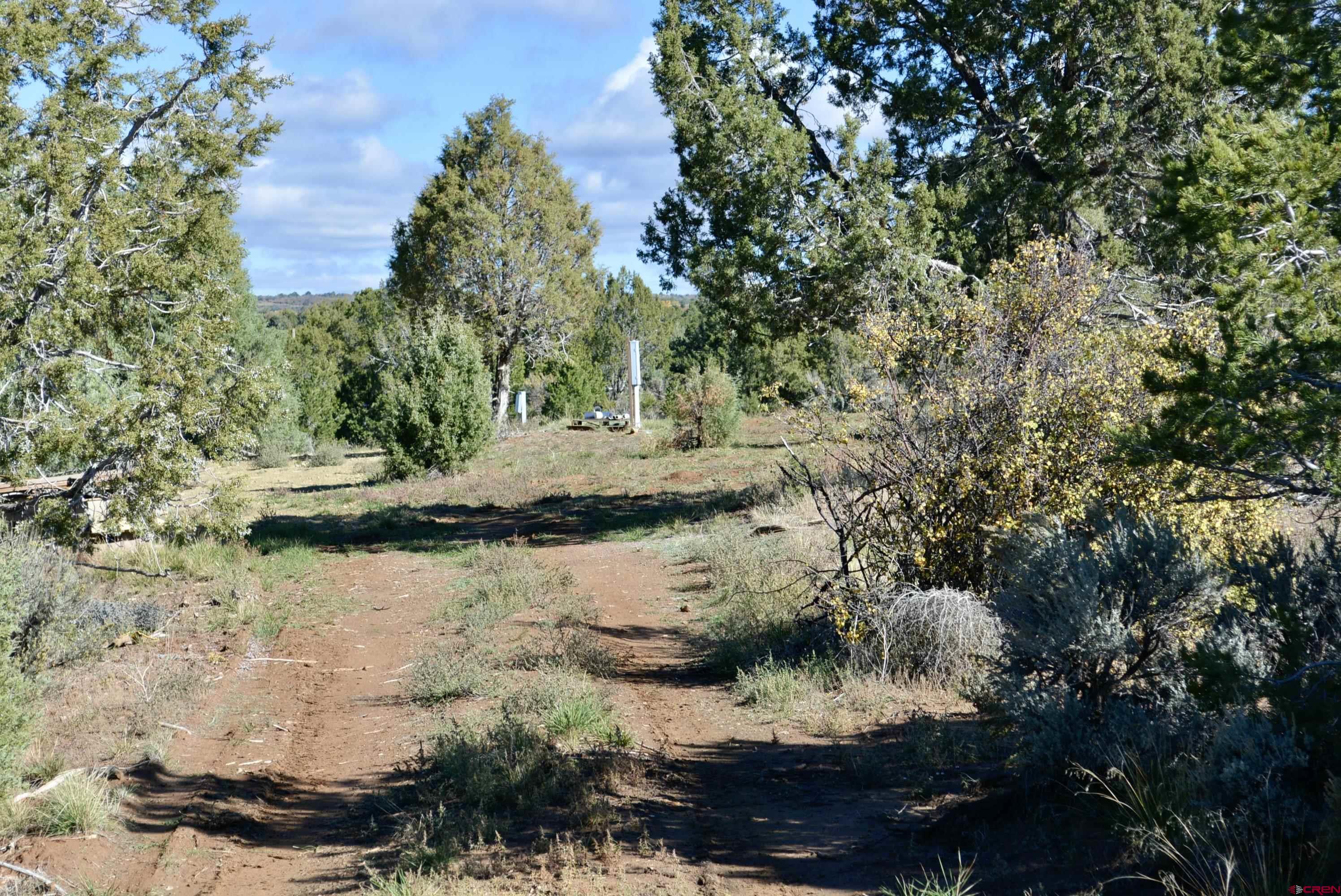 14421 32.1 Road Mancos, CO 81328 - Photo 4 of 30 a view of a lake from a yard