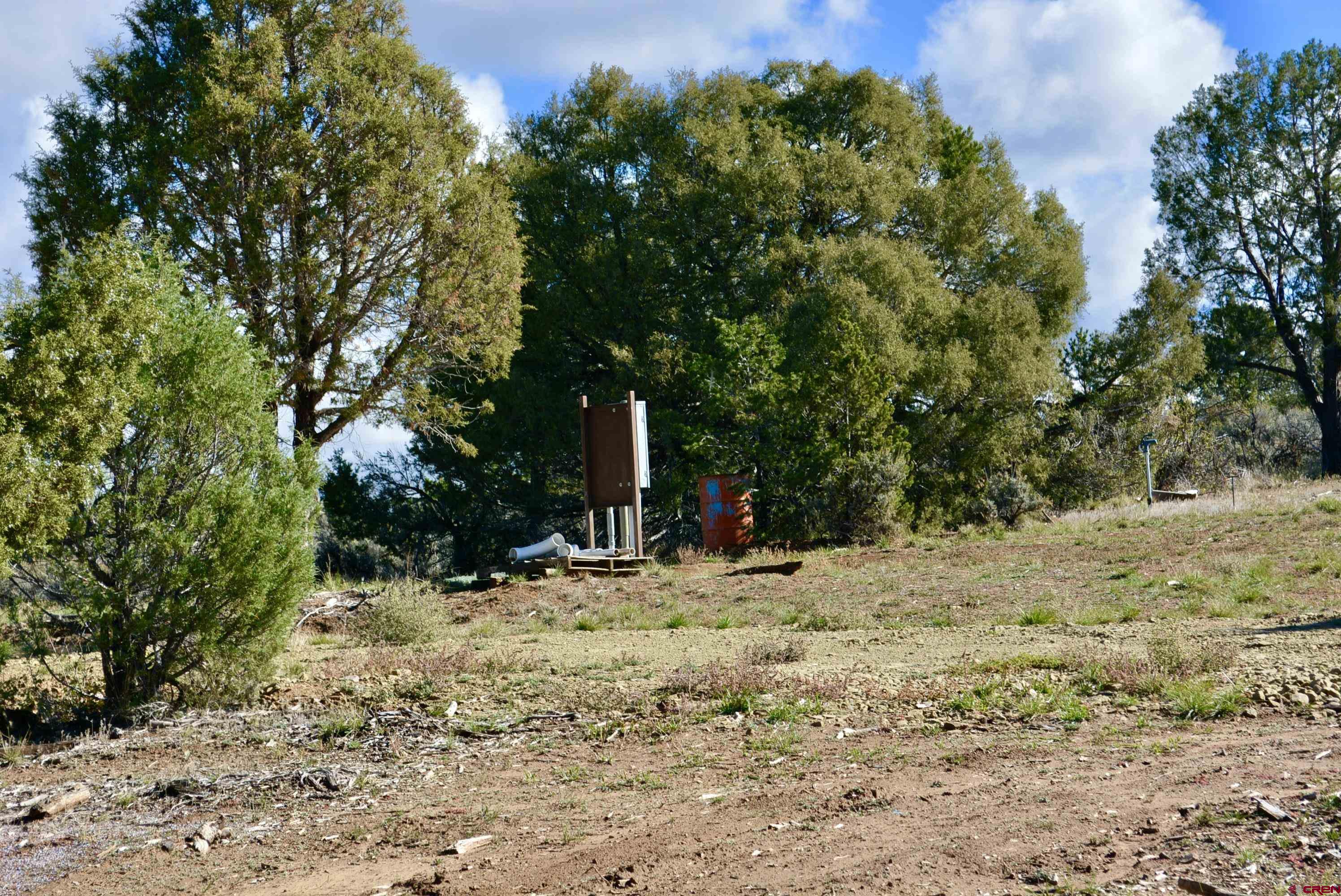 14421 32.1 Road Mancos, CO 81328 - Photo 6 of 30 a view of a yard with trees