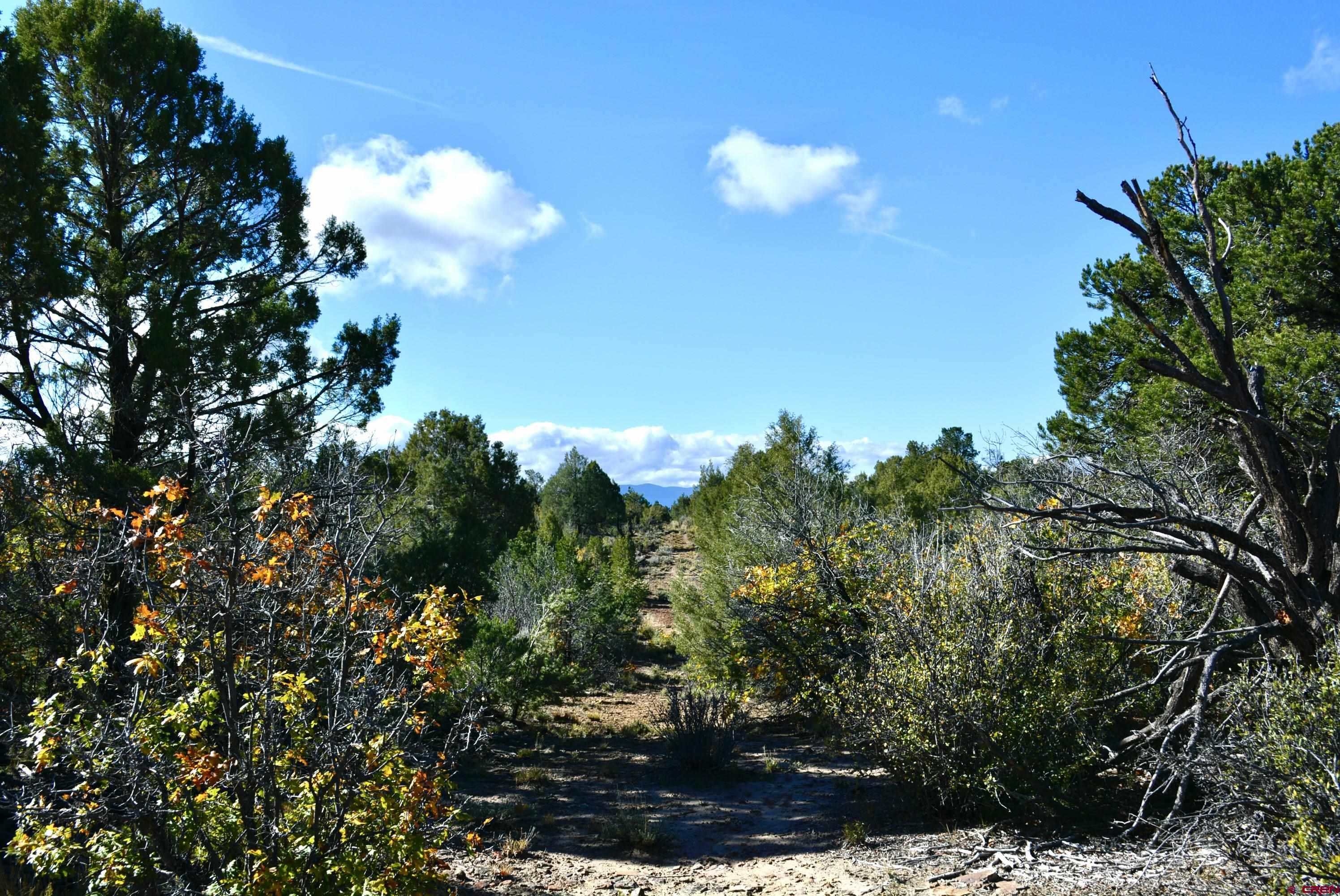 14421 32.1 Road Mancos, CO 81328 - Photo 9 of 30 a view of a house in a yard