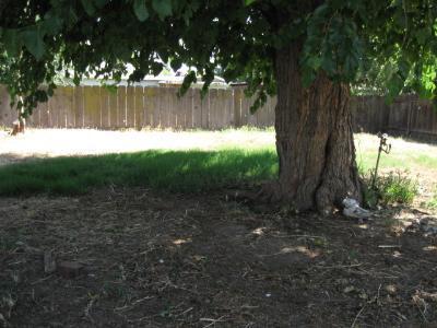 237 West Olson Avenue Reedley, CA 93654 - Photo 2 of 10 Gallery Image 2