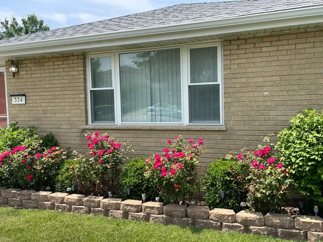 a view of a potted plant sitting in front of a house