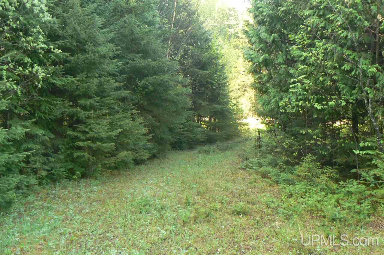 Tbd East Cold Springs Road Chatham, MI 49816 - Photo 12 of 21