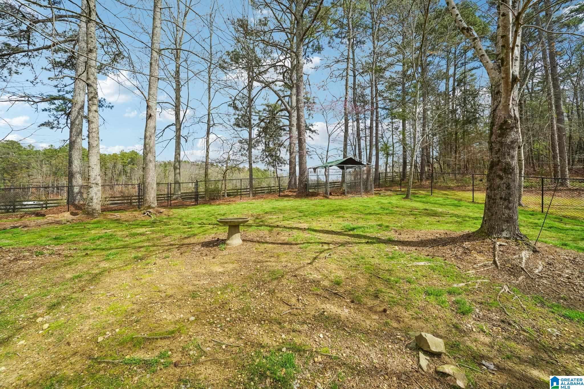 91 Hilltop Road Oneonta, AL 35121 - Photo 63 of 65