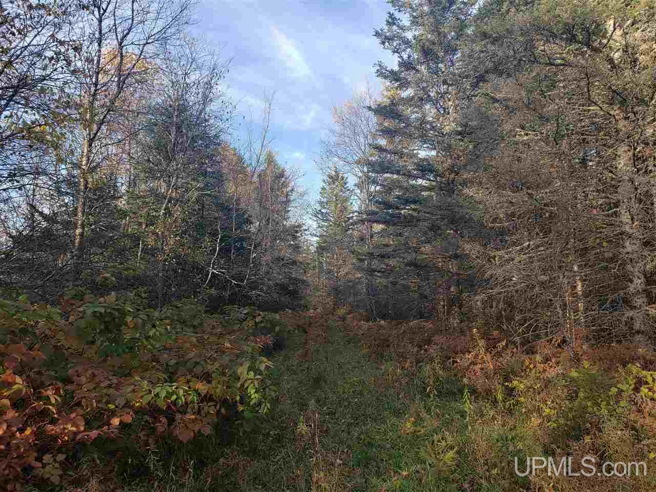 Tbd North River Road Chassell, MI 49916 - Photo 4 of 25 Gallery Image 4