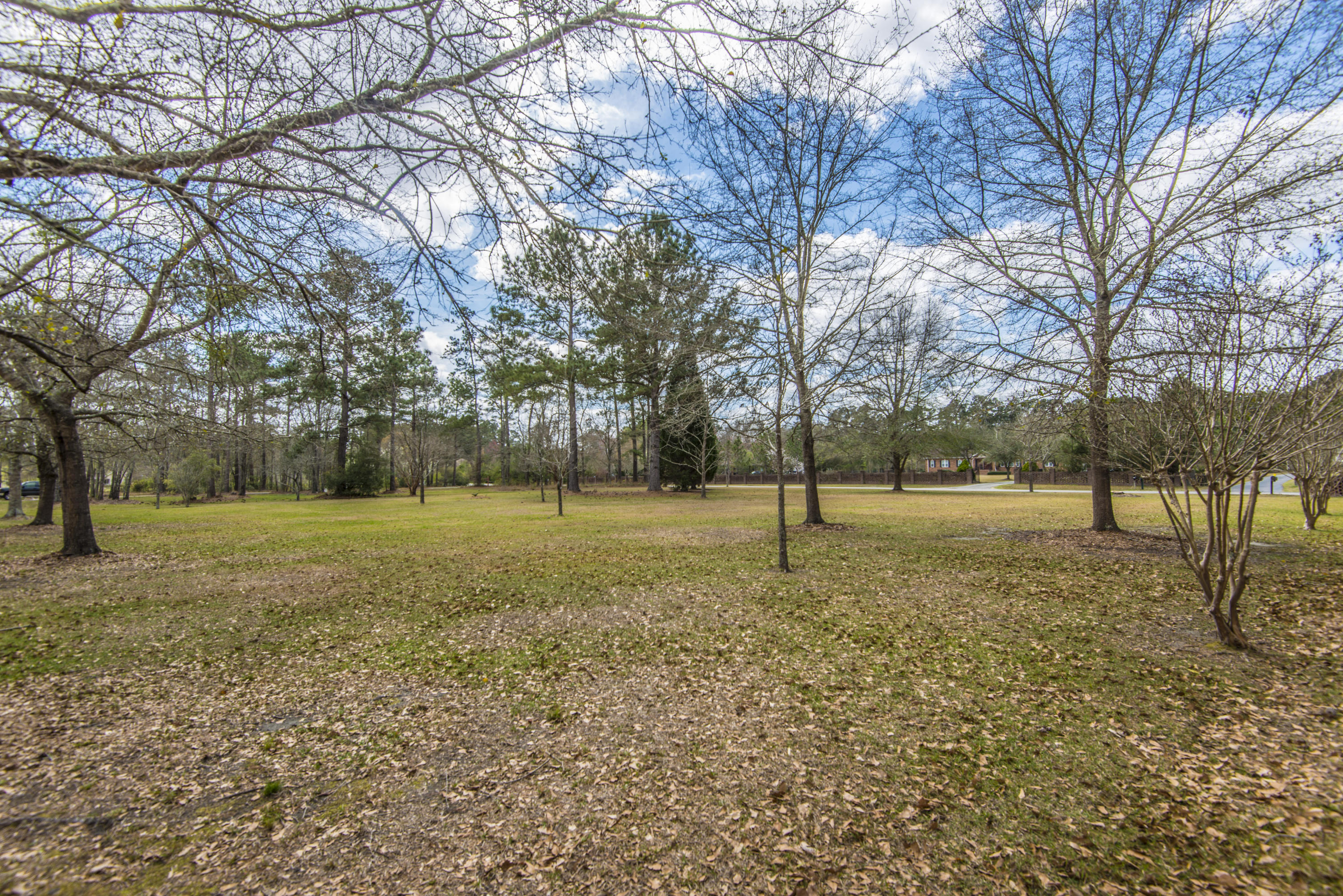 419 State Rd S-8-375 Moncks Corner, SC 29461 - Photo 44 of 56 _DSC1733