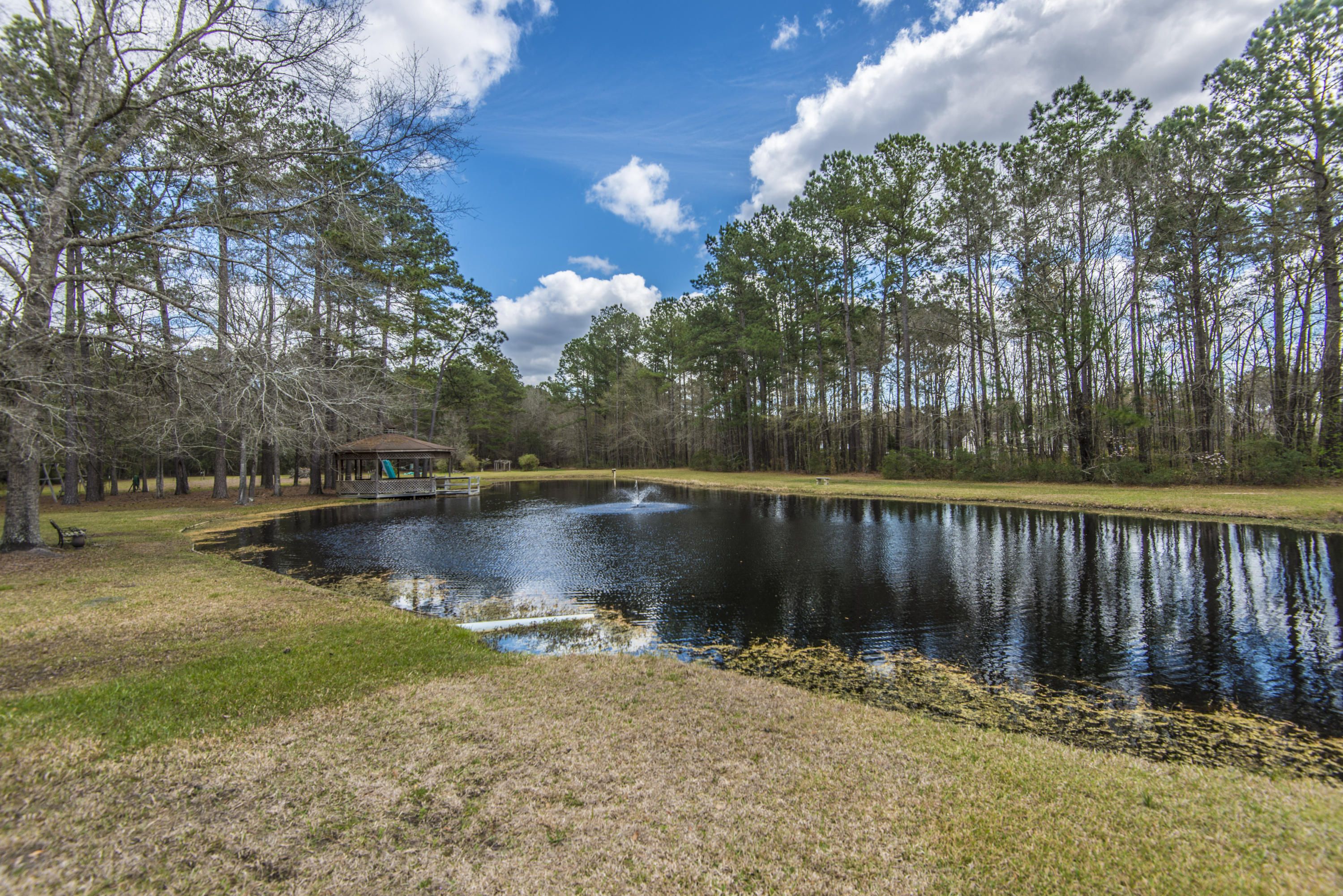 419 State Rd S-8-375 Moncks Corner, SC 29461 - Photo 48 of 56 _DSC1739