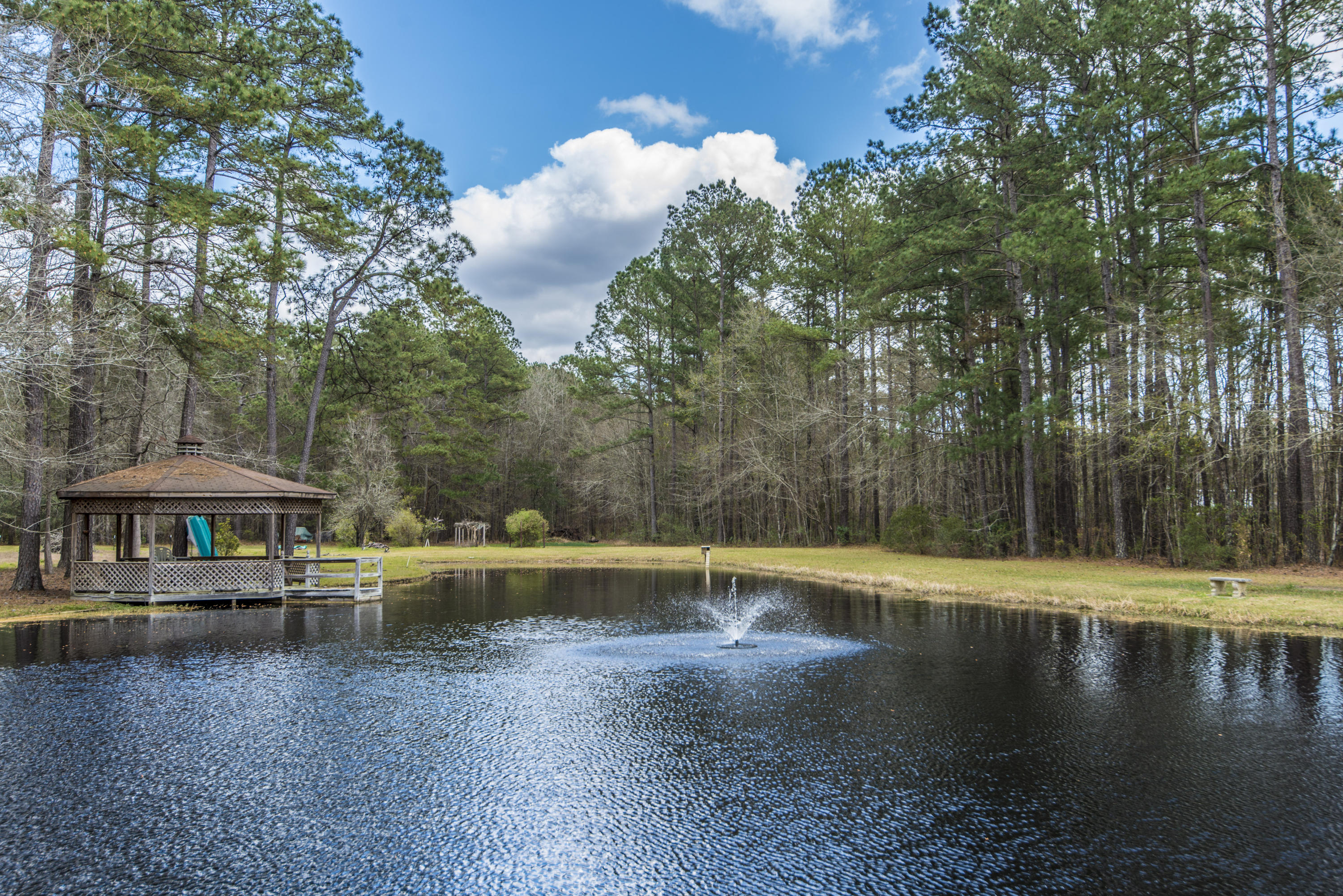 419 State Rd S-8-375 Moncks Corner, SC 29461 - Photo 50 of 56 _DSC1741