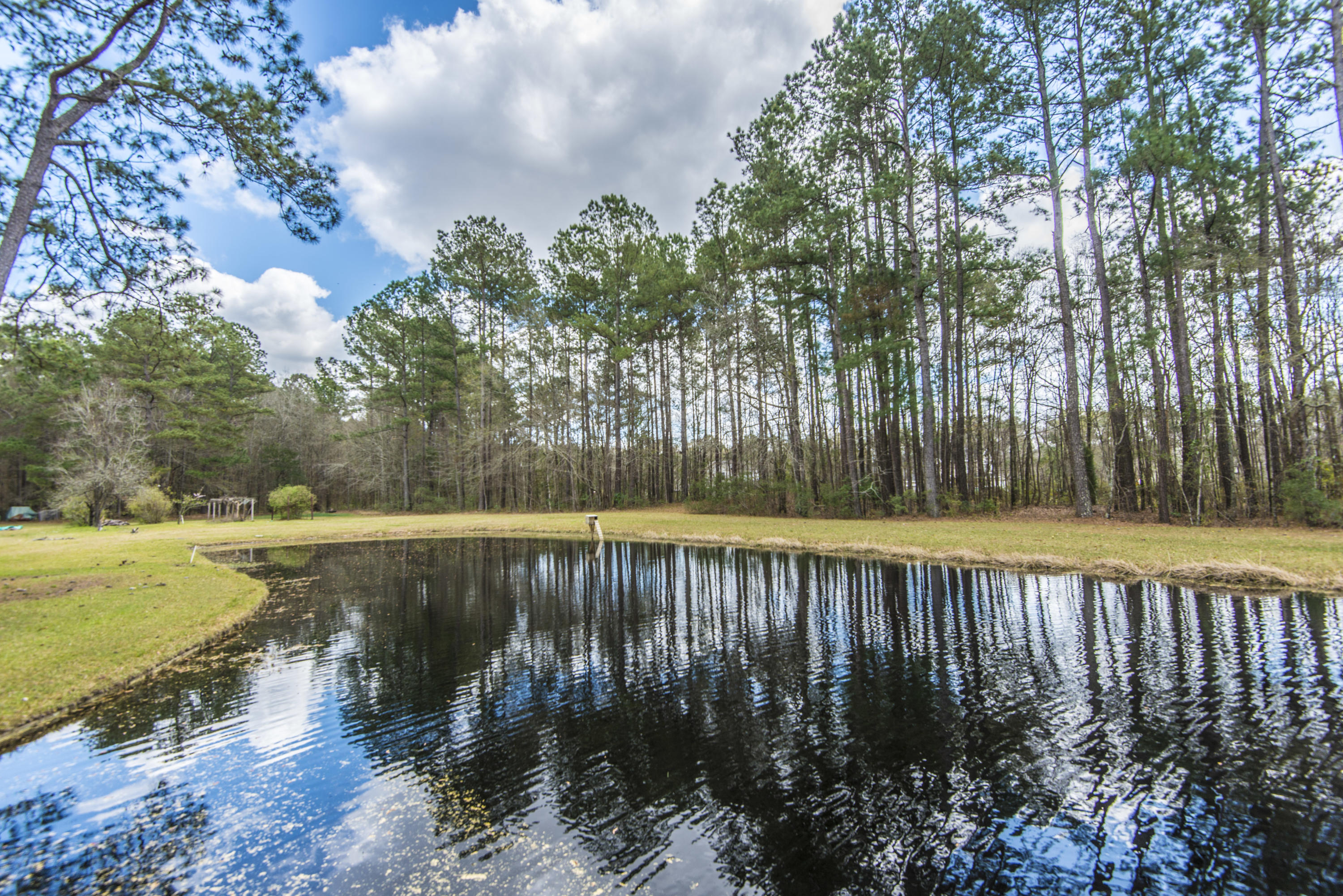 419 State Rd S-8-375 Moncks Corner, SC 29461 - Photo 53 of 56 _DSC1745