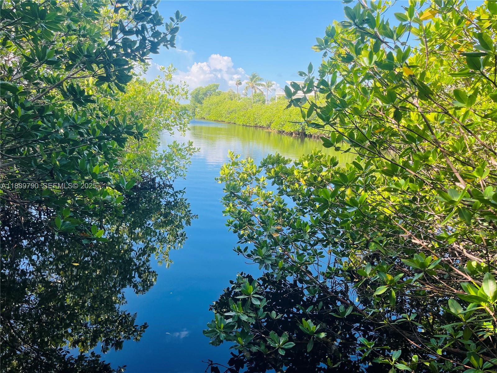 202 West Canal Drive Key Largo, FL 33037 - Photo 22 of 29