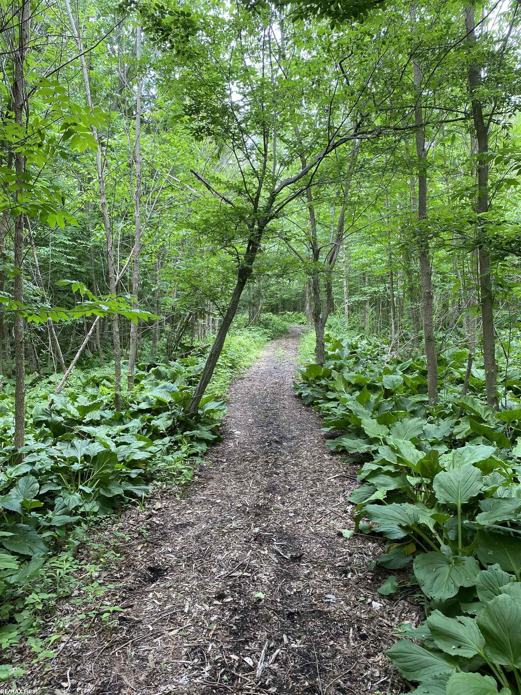 6911 32 Mile Road Romeo, MI 48065 - Photo 11 of 99