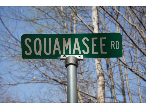 0 Squamasee Road Holderness, NH 03245 - Photo 6 of 10