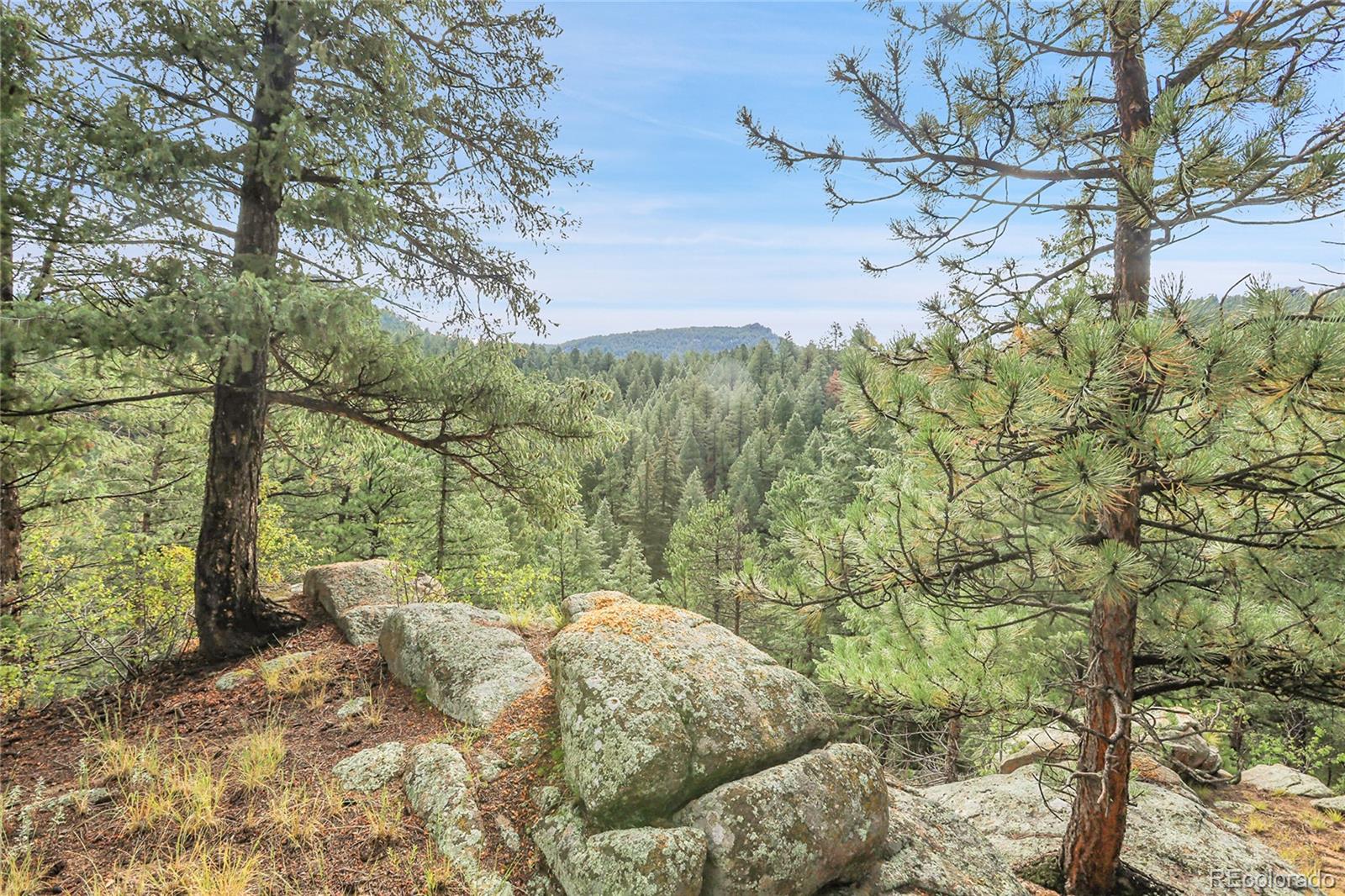 a view of a backyard of the house