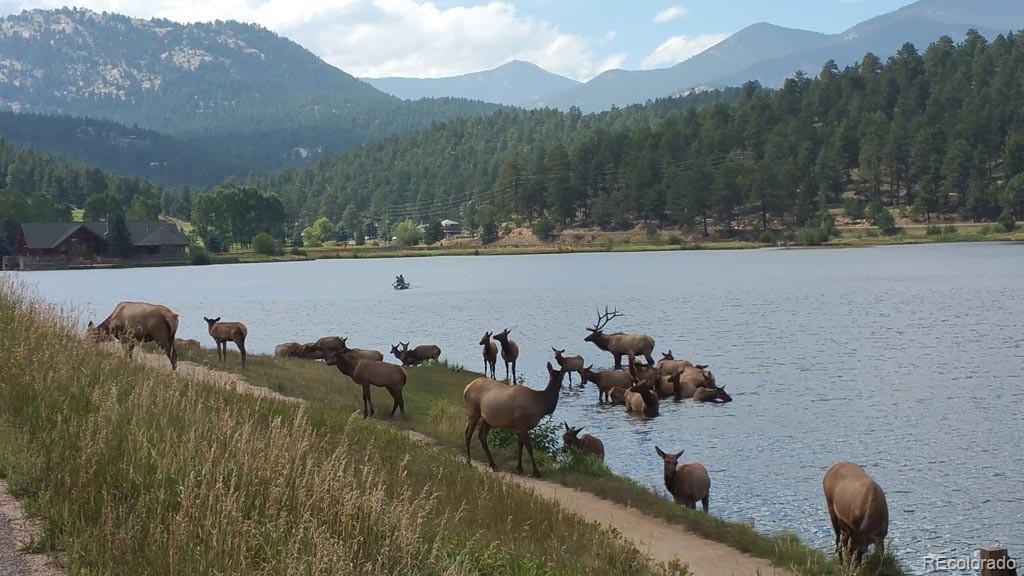Mountain Park Road Evergreen, CO 80439 - Photo 20 of 50 a view of a lake with a mountain in the background