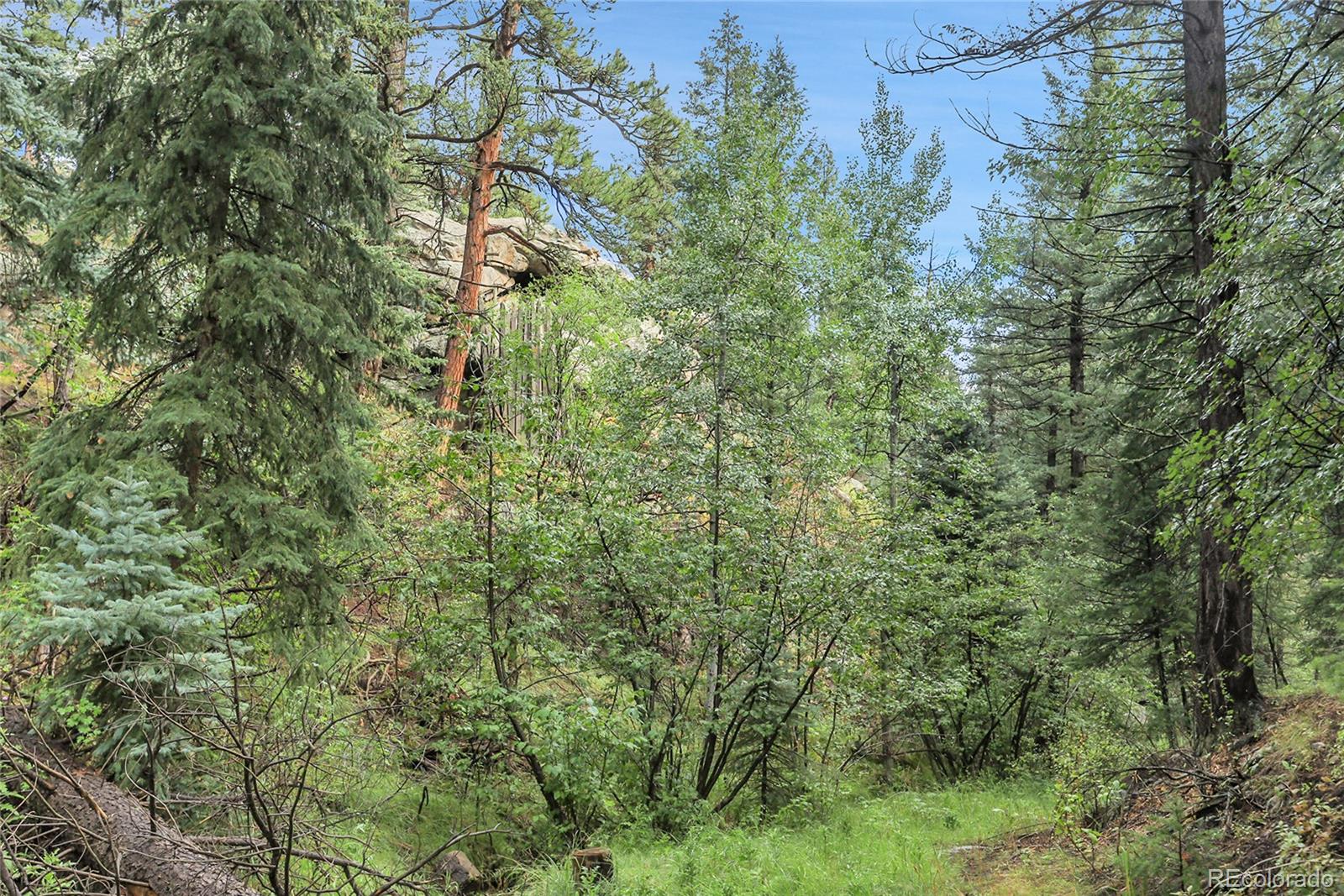 Mountain Park Road Evergreen, CO 80439 - Photo 29 of 50