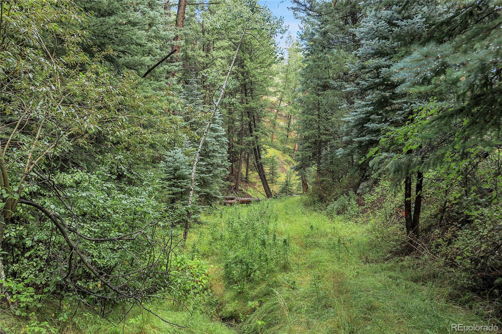Mountain Park Road Evergreen, CO 80439 - Photo 32 of 50 a view of a lush green forest