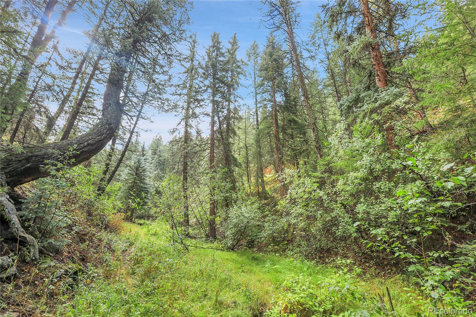 Mountain Park Road Evergreen, CO 80439 - Photo 33 of 50
