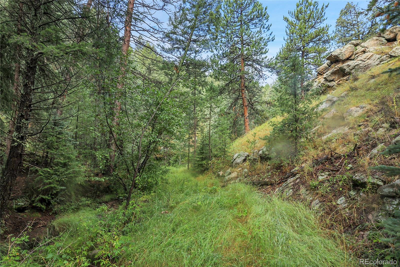 Mountain Park Road Evergreen, CO 80439 - Photo 36 of 50 a view of a lush green forest