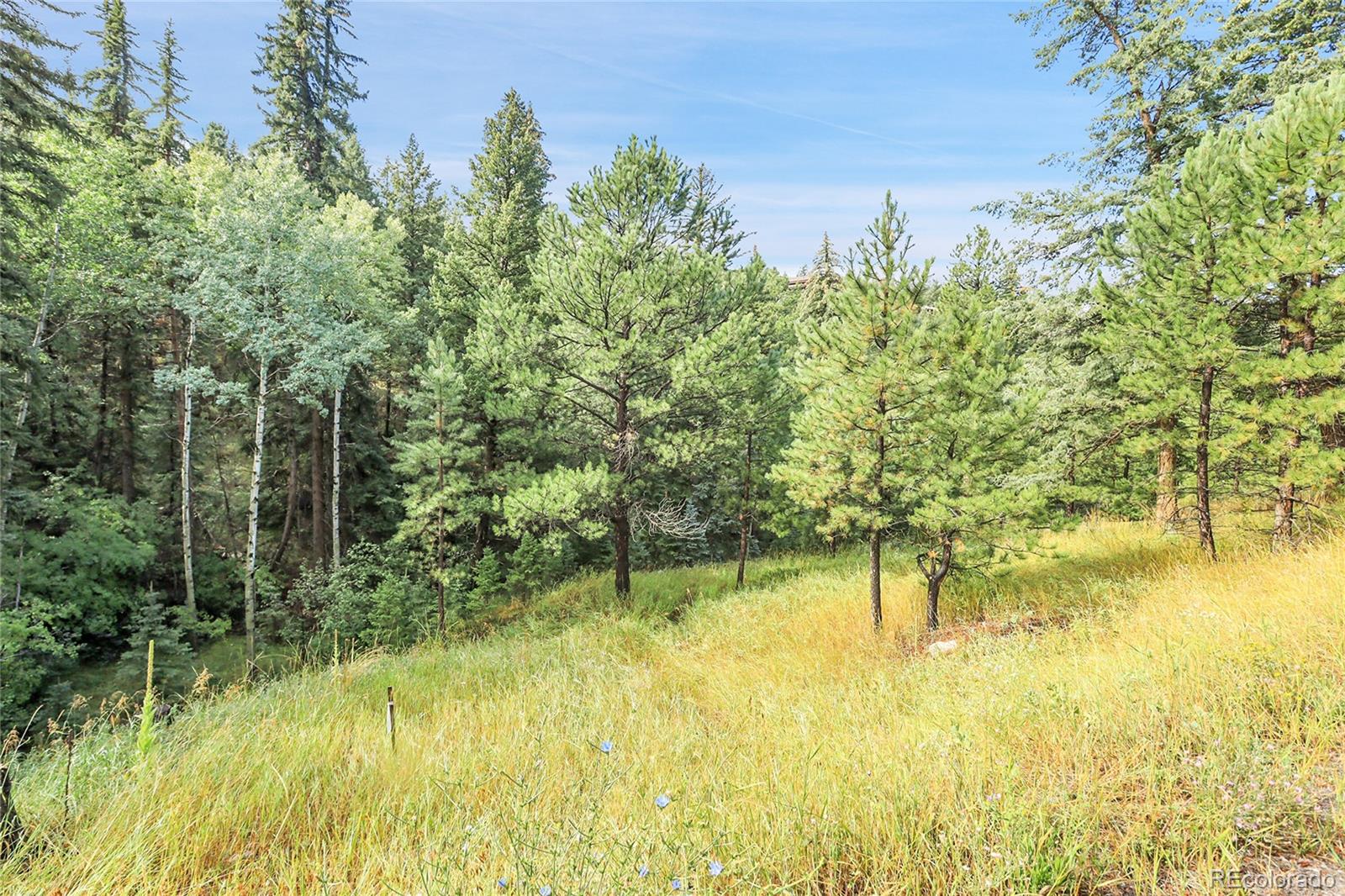 Mountain Park Road Evergreen, CO 80439 - Photo 5 of 50 a view of swimming pool from a yard