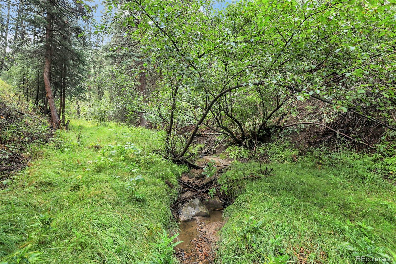 Mountain Park Road Evergreen, CO 80439 - Photo 6 of 50