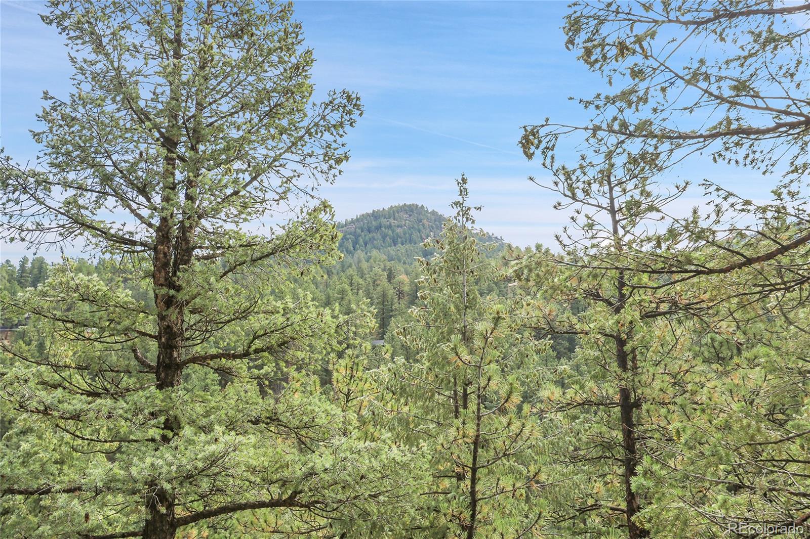 Mountain Park Road Evergreen, CO 80439 - Photo 8 of 50 a view of a yard with a tree