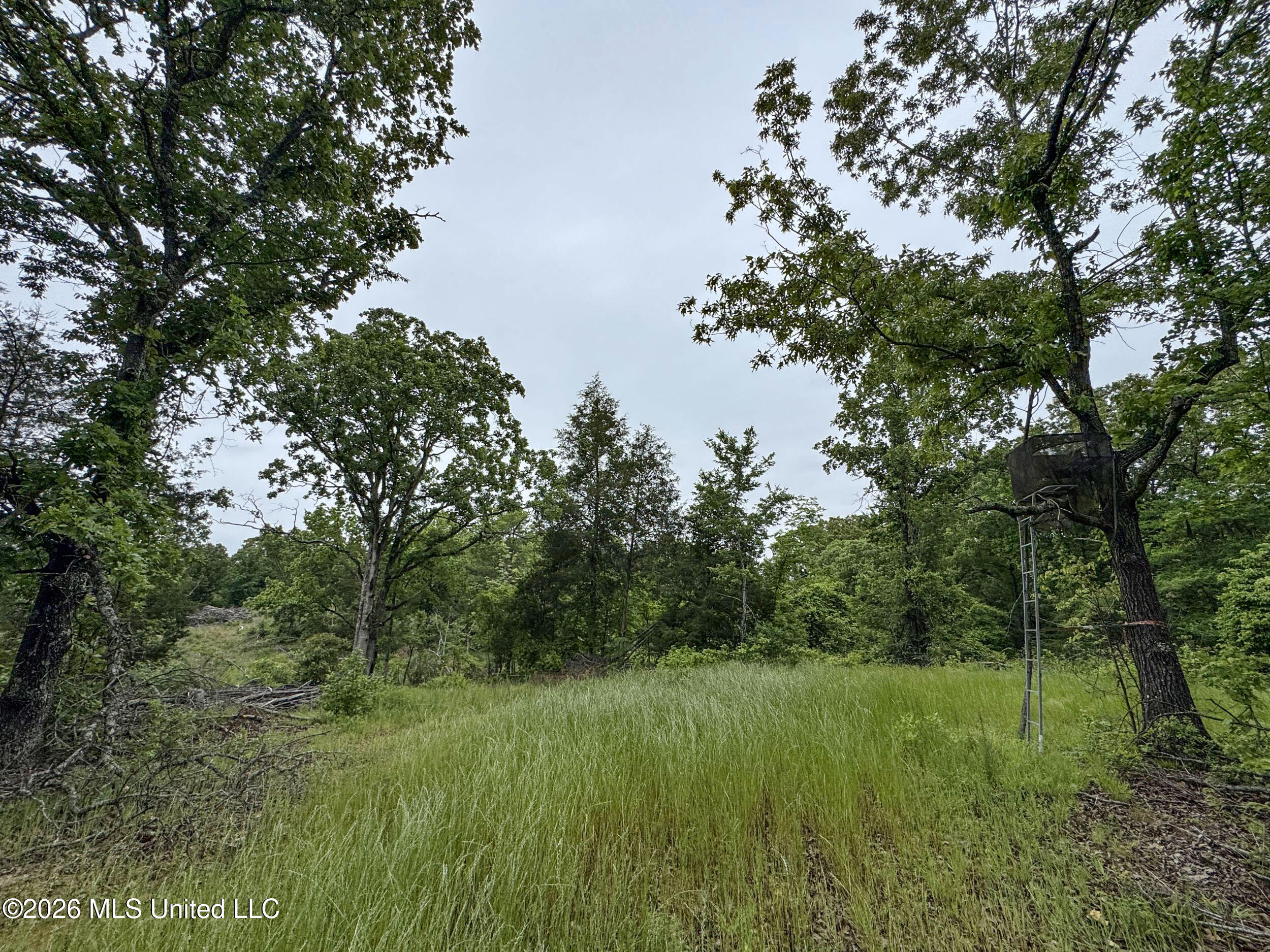 Wayne Massie Road Como, MS 38619 - Photo 91 of 184 5cdtbs22