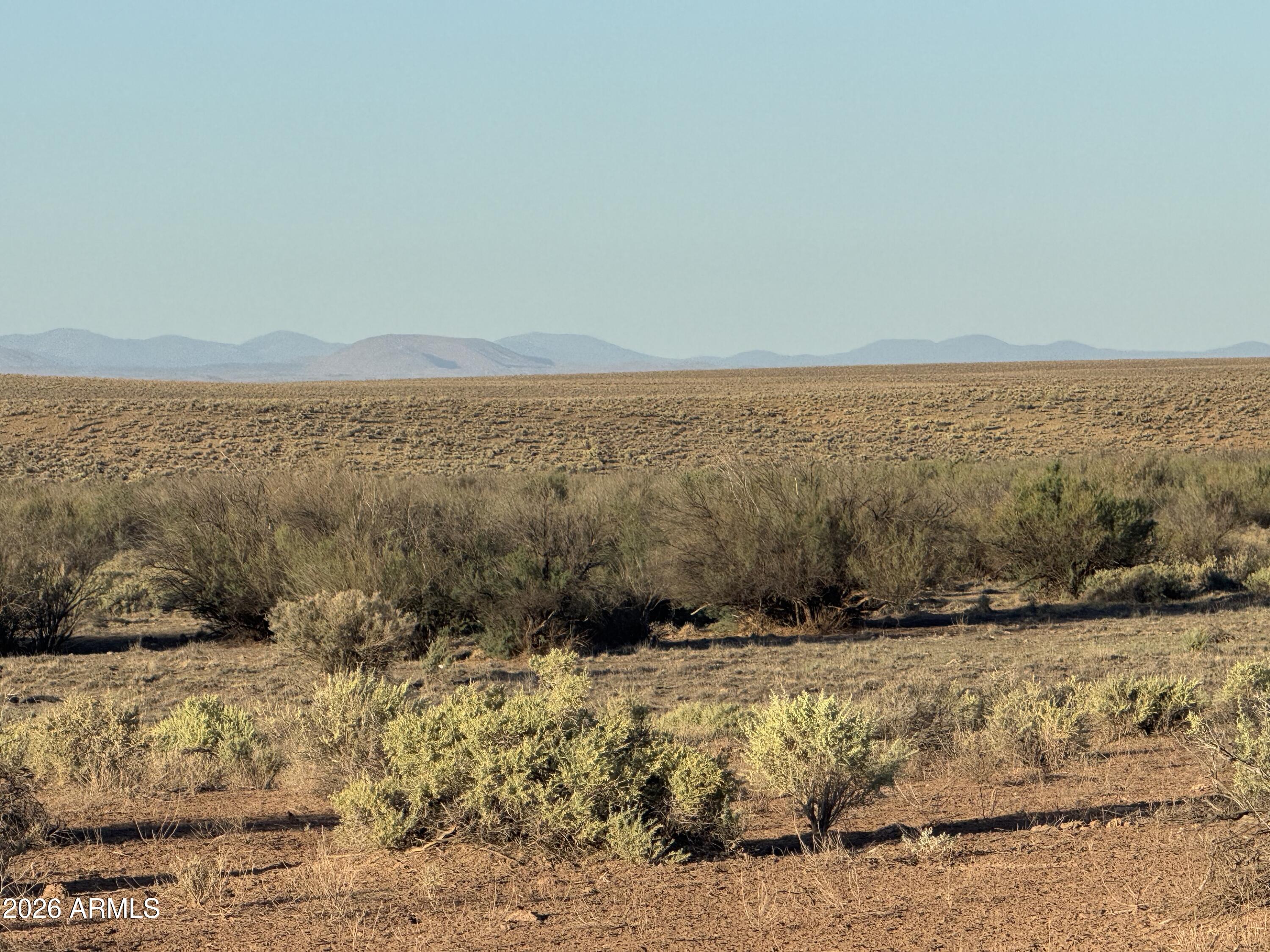 Lot 445 Carrizo Ranch, Unit 445 St. Johns, AZ 85936 - Photo 14 of 17 IMG_1882