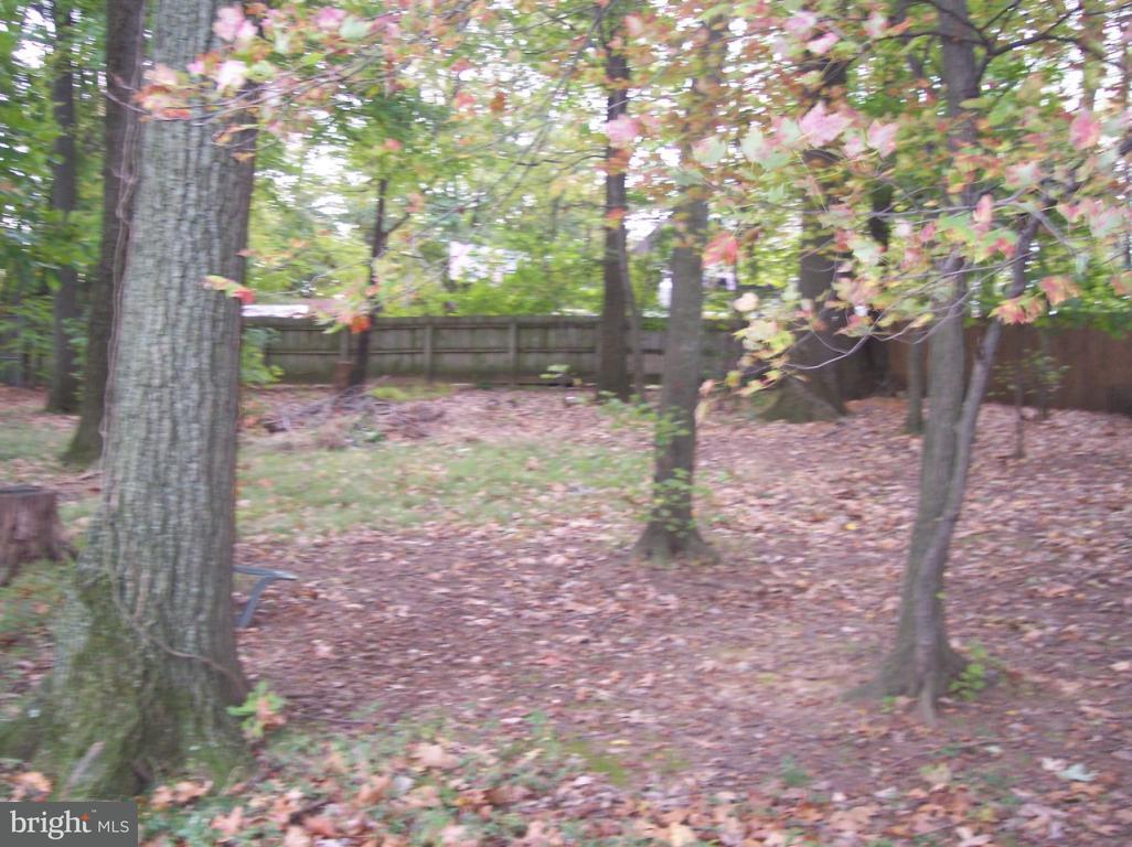 341 Lamparter Road Quarryville, PA 17566 - Photo 9 of 26 Gallery Image 9