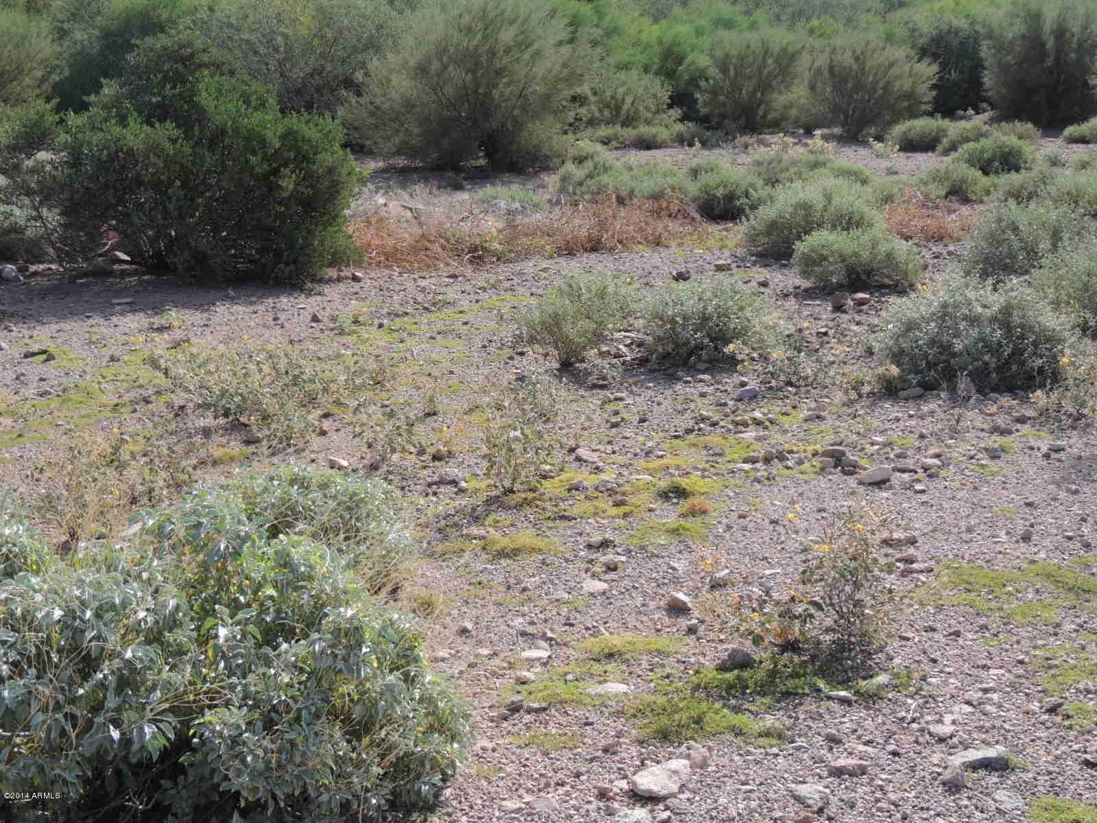 0 South Muleshoe Road, Unit 2B Apache Junction, AZ 85119 - Photo 3 of 9 Nice Desert!