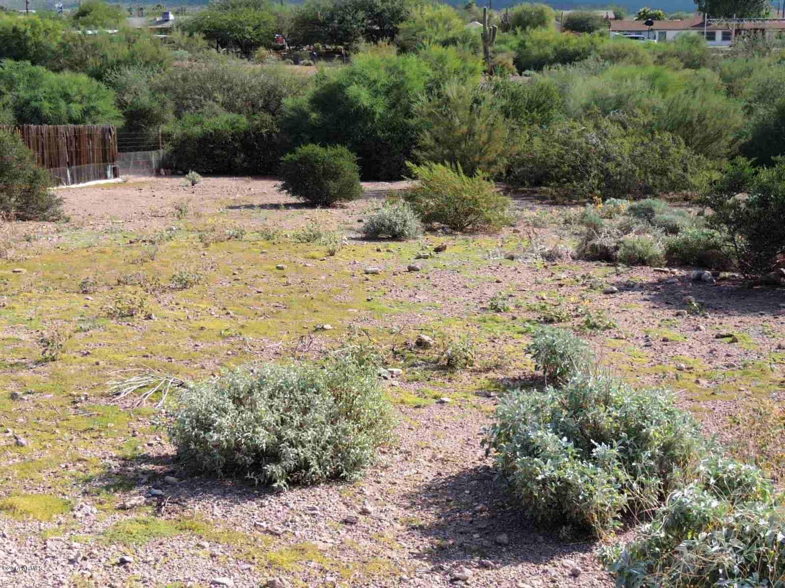 0 South Muleshoe Road, Unit 2B Apache Junction, AZ 85119 - Photo 4 of 9 Beautiful Natural Desert!