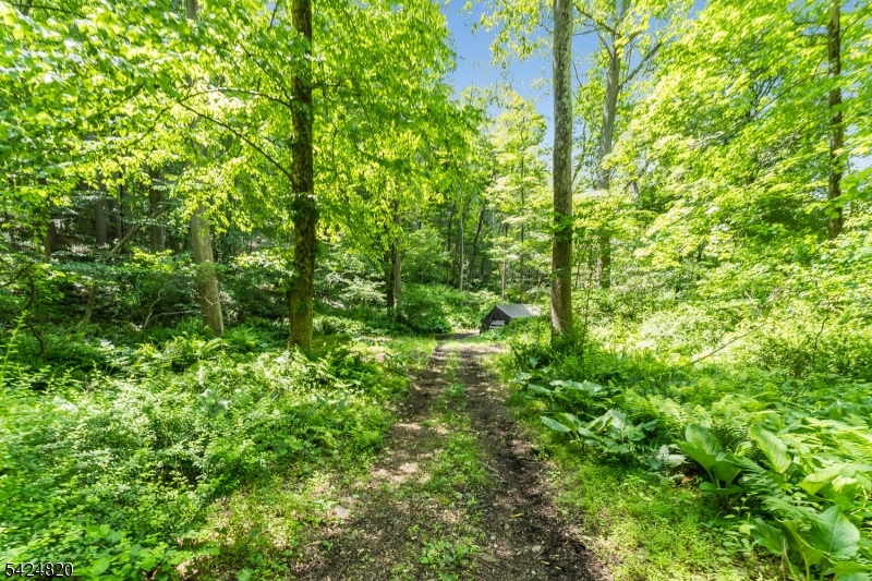 115 Stephensburg Road Port Murray, NJ 07865 - Photo 24 of 25