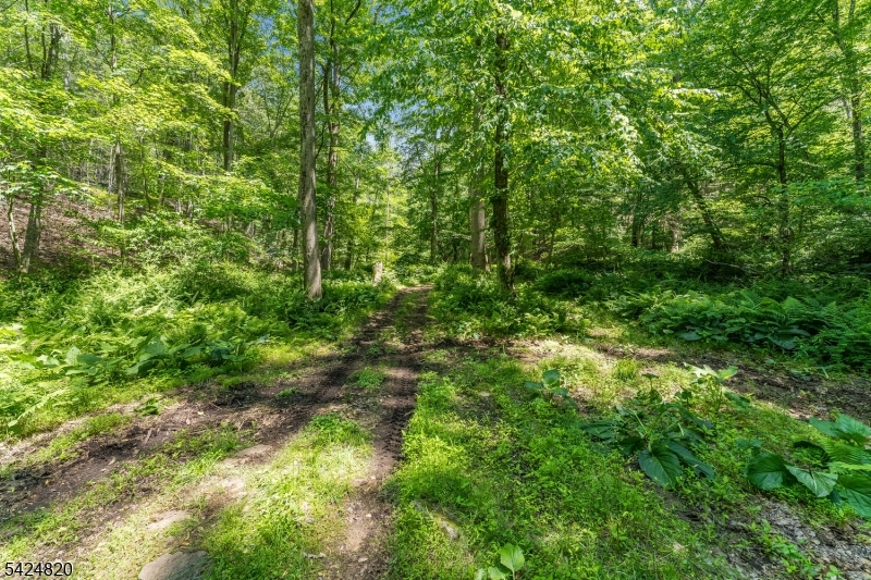 115 Stephensburg Road Port Murray, NJ 07865 - Photo 25 of 25