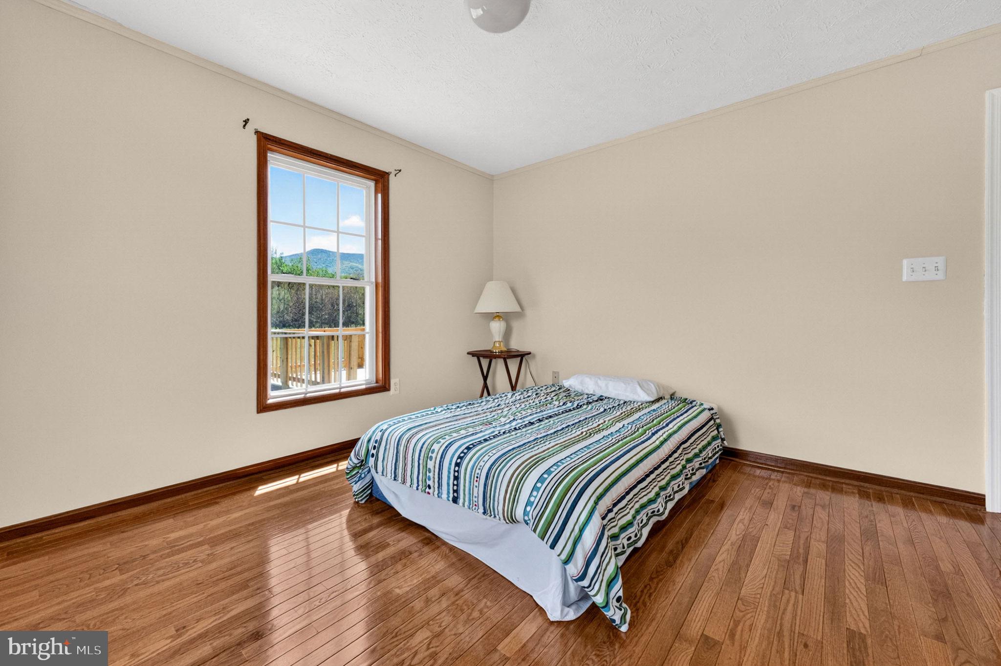 6315 Ida Road Stanley, VA 22851 - Photo 52 of 83 Bedroom 3