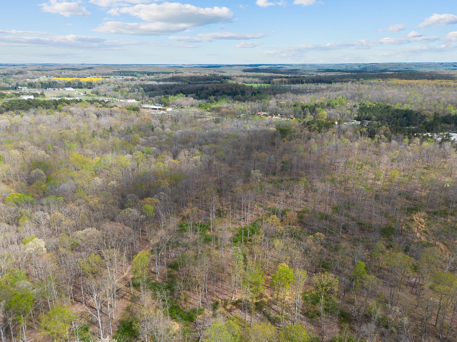 0 Nell Beard Road New Johnsonville, TN 37134 - Photo 13 of 17