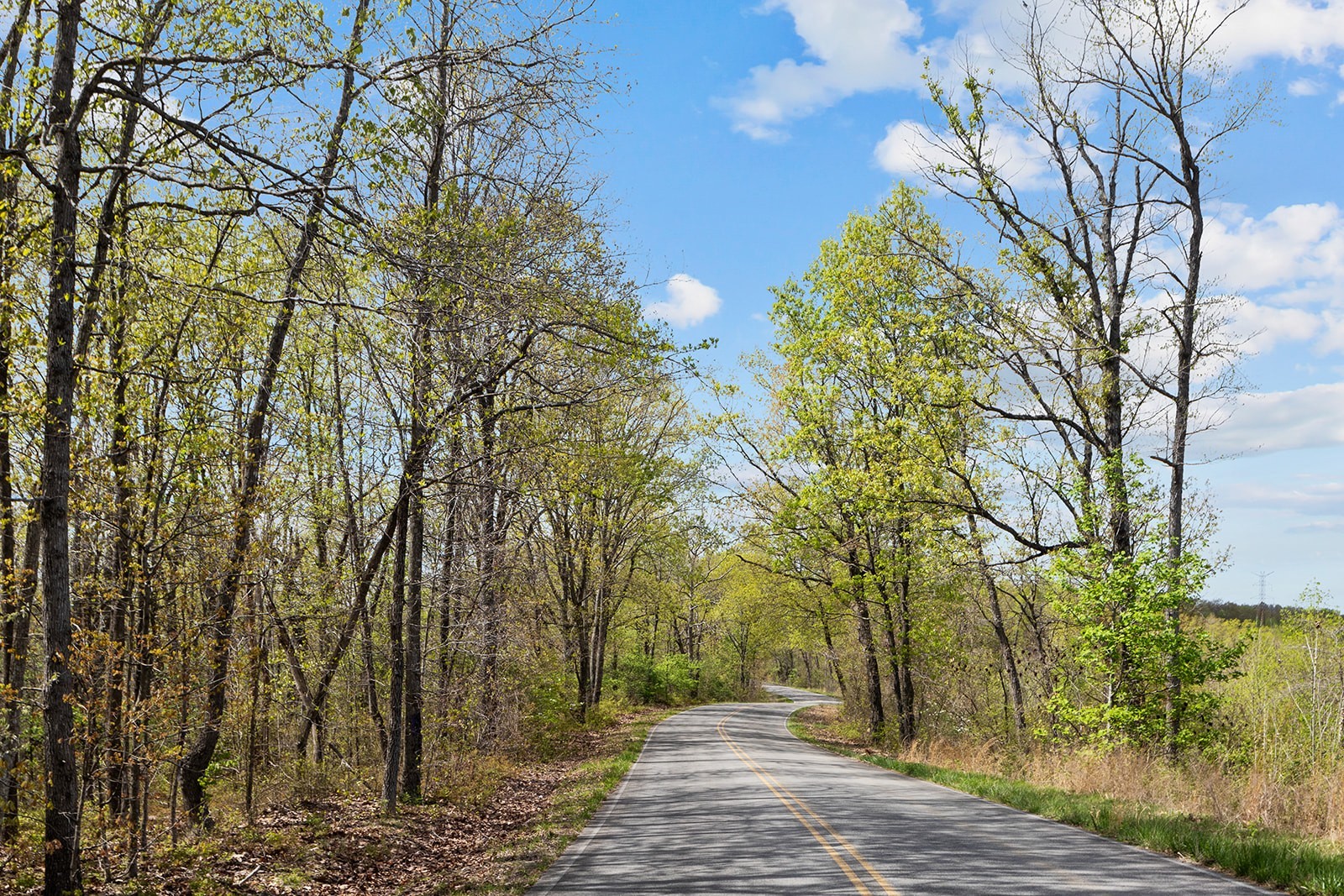 0 Nell Beard Road New Johnsonville, TN 37134 - Photo 3 of 17 a view of a yard with plants and trees