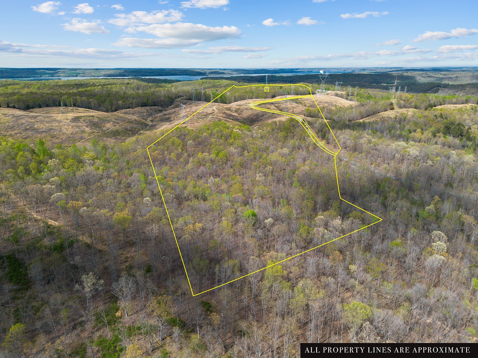 0 Nell Beard Road New Johnsonville, TN 37134 - Photo 5 of 17 a view of an outdoor space and a yard