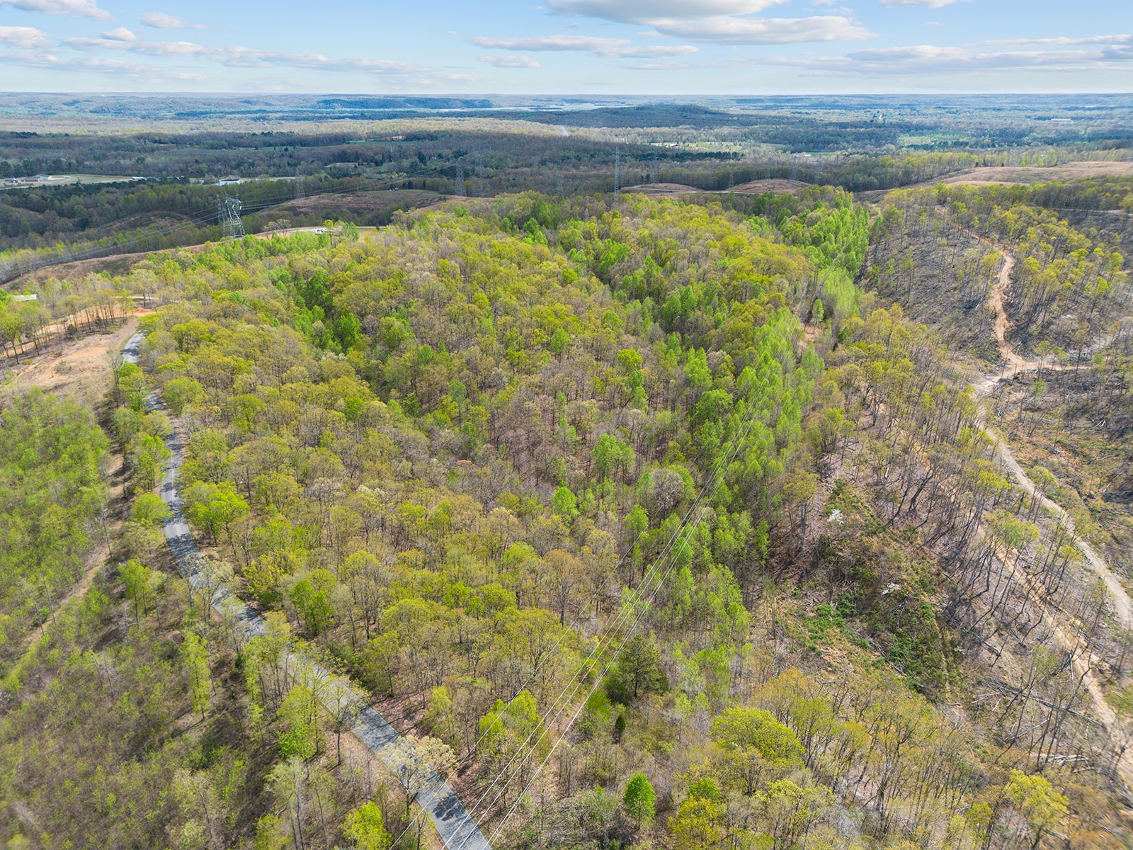 0 Nell Beard Road New Johnsonville, TN 37134 - Photo 6 of 17 a view of a pathway both side of a lake view